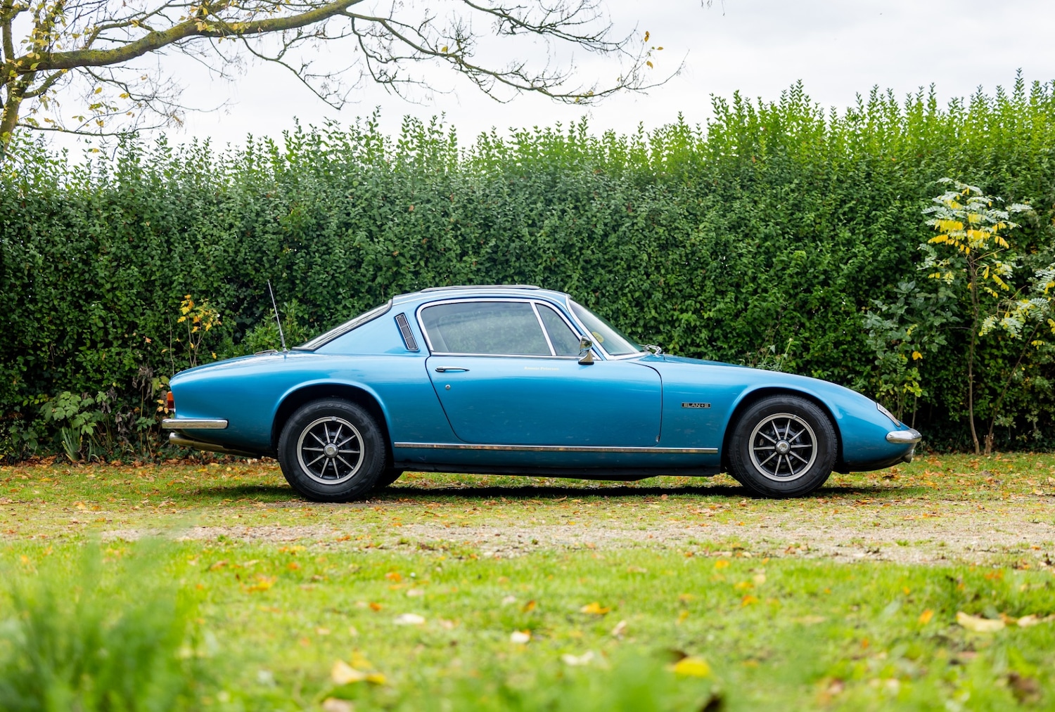Used Lotus Elan 1972 for sale - 76412410: Photo 15