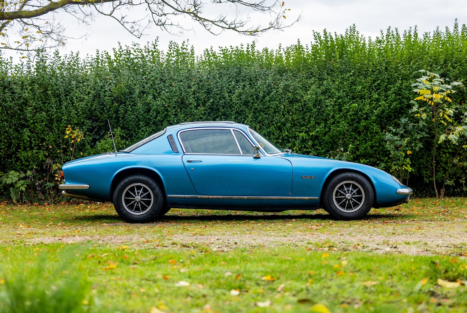 Used Lotus Elan 1972 for sale - 76412410: Photo 18