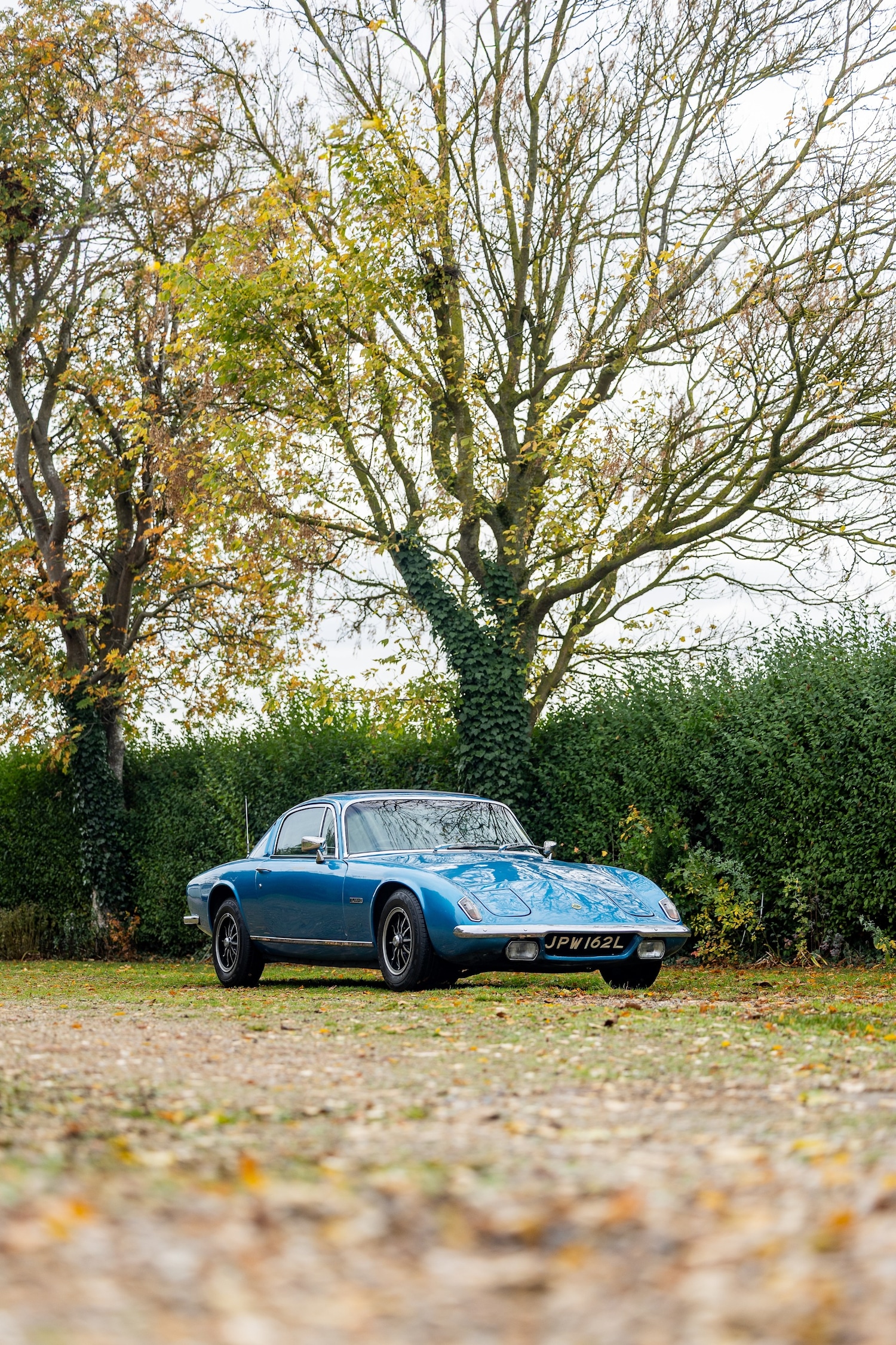 Used Lotus Elan 1972 for sale - 76412410: Photo 19