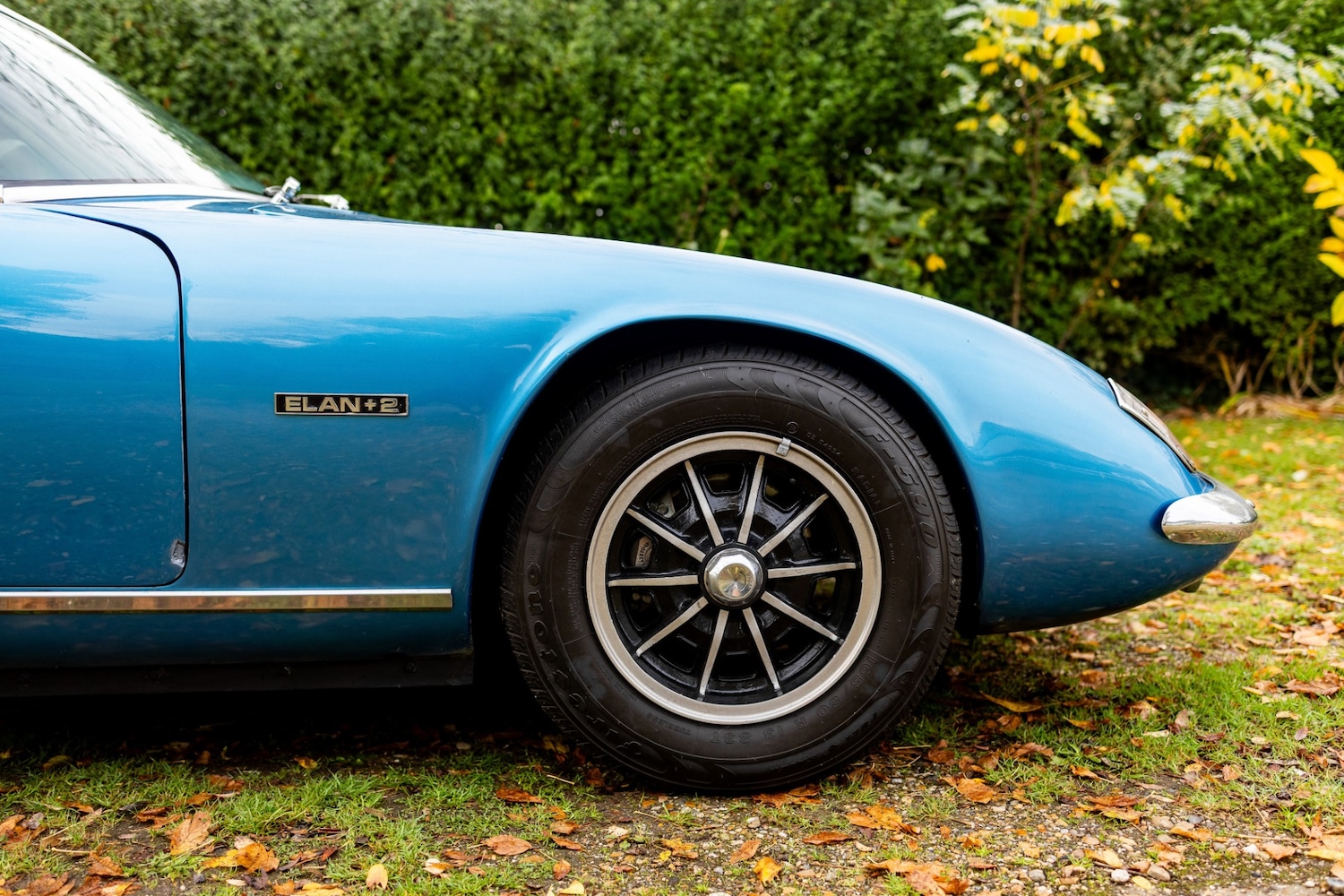 Used Lotus Elan 1972 for sale - 76412410: Photo 42