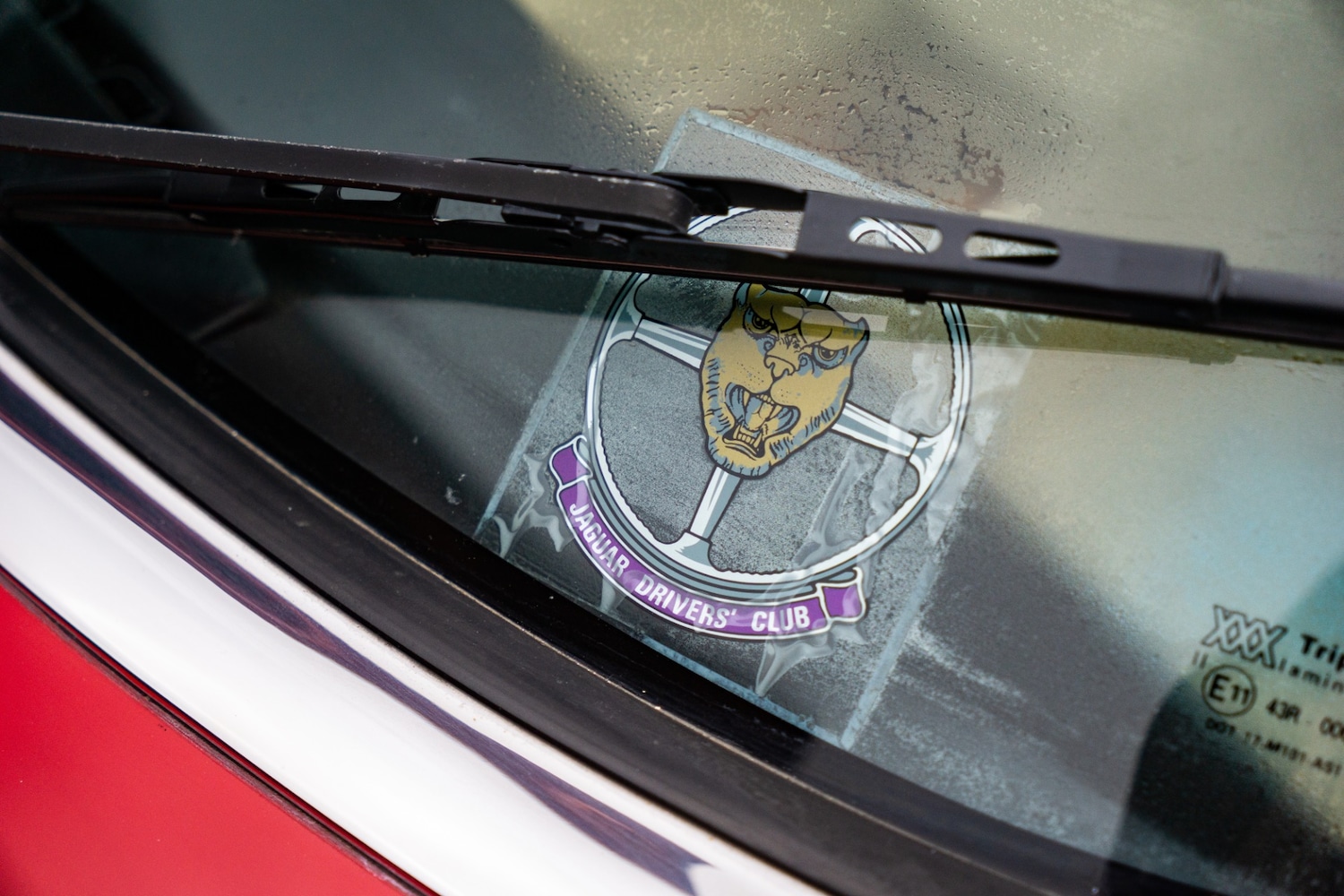 Used Jaguar XJS 1989 for sale - 77502608: Photo 13