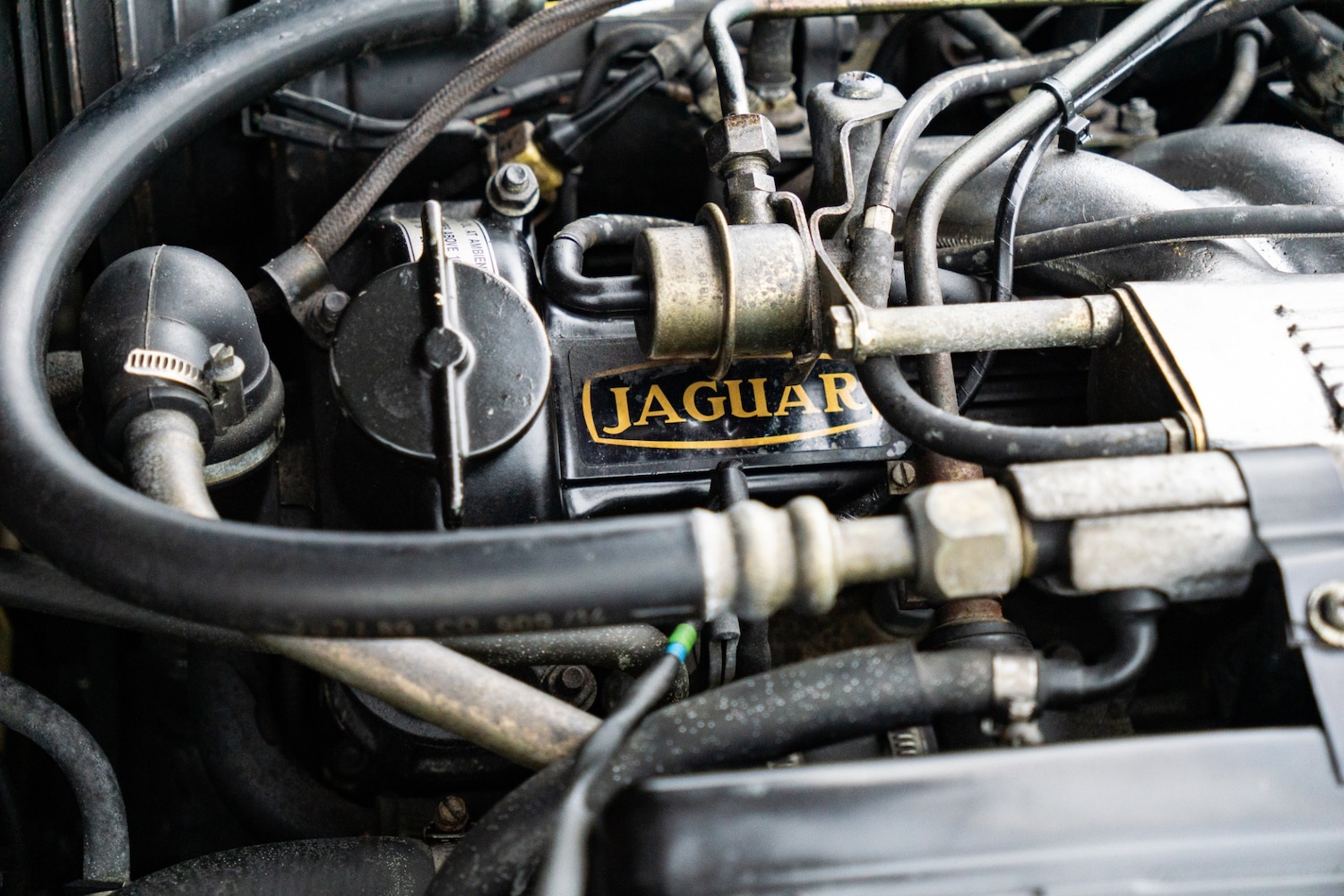 Used Jaguar XJS 1989 for sale - 77502608: Photo 21