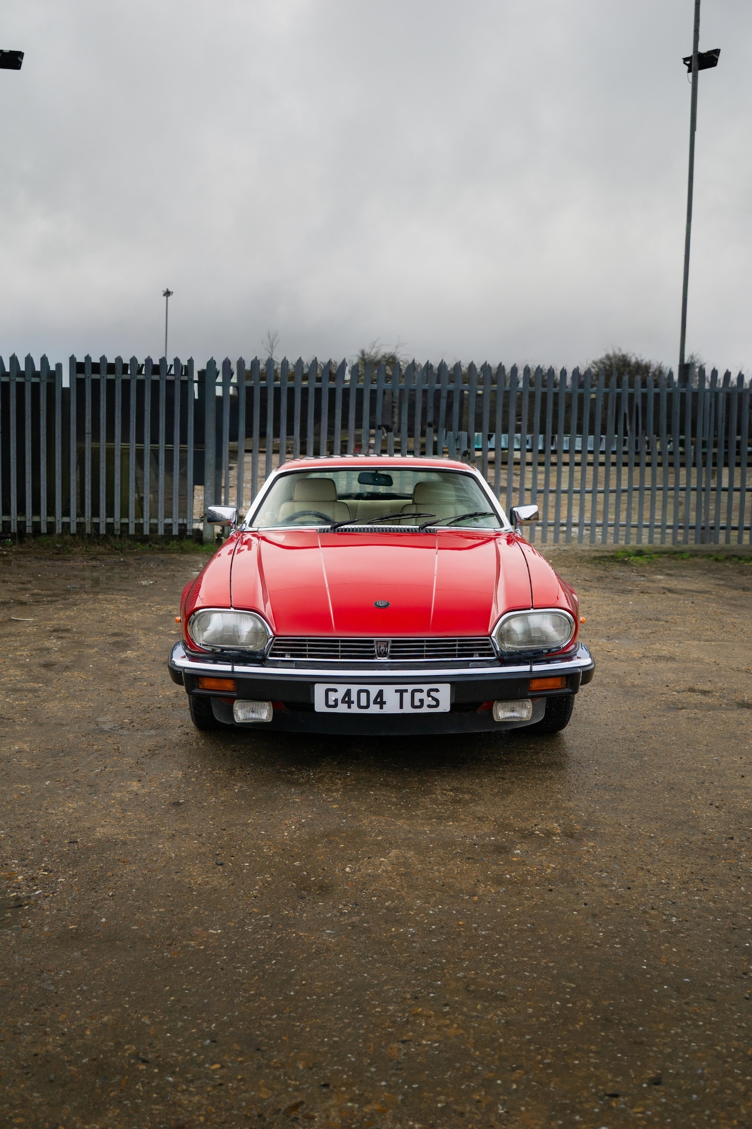 Used Jaguar XJS 1989 for sale - 77502608: Photo 8