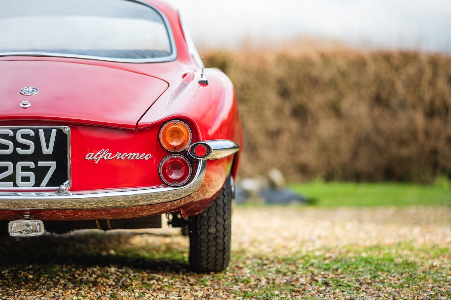 Used Alfa Romeo Giulia 1966 for sale - 77432249: Photo 16