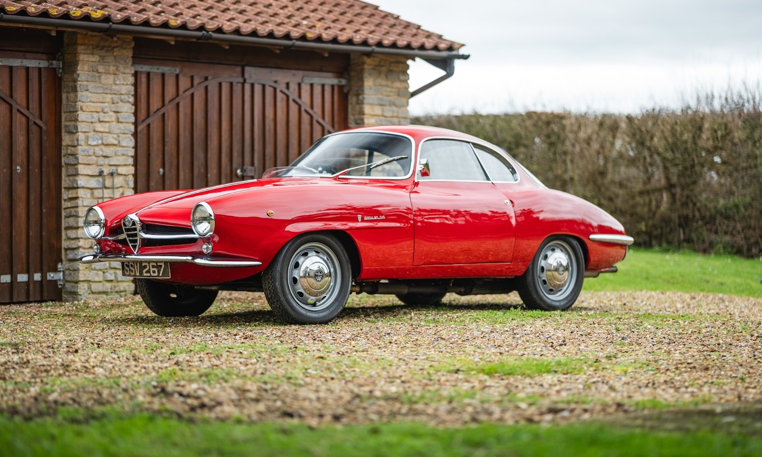 Used Alfa Romeo Giulia 1966 for sale - 77432249: Photo 2