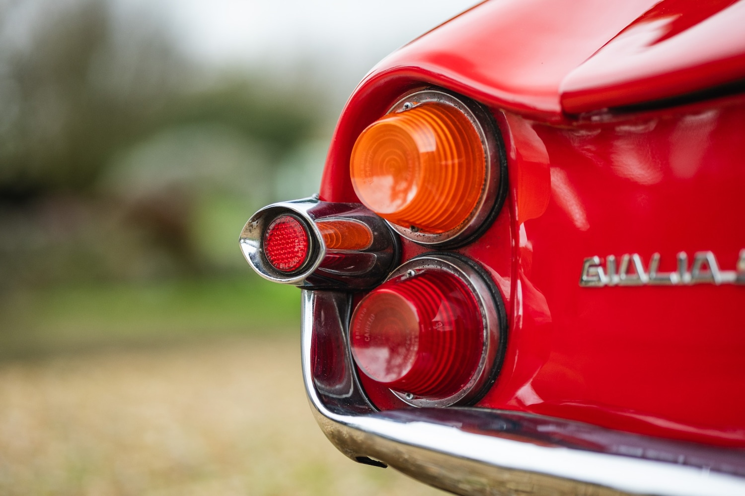 Used Alfa Romeo Giulia 1966 for sale - 77432249: Photo 21