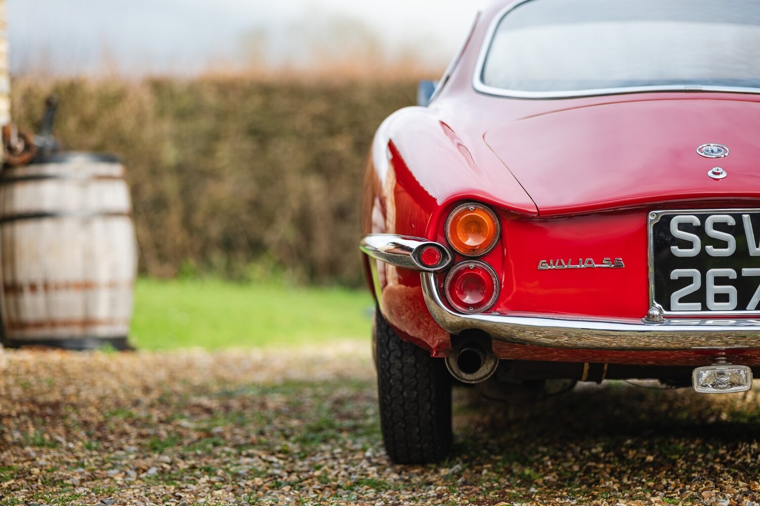 Used Alfa Romeo Giulia 1966 for sale - 77432249: Photo 41