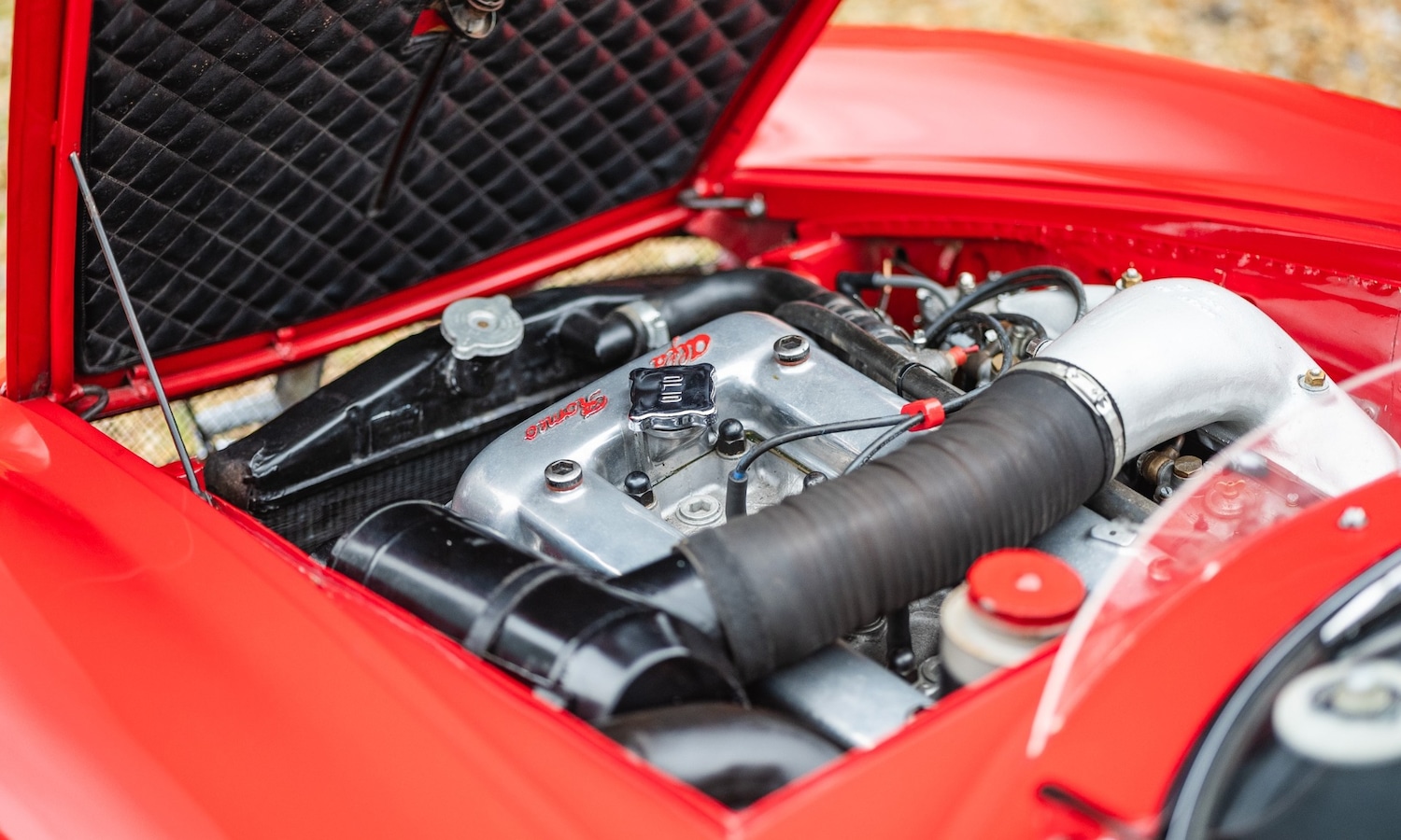 Used Alfa Romeo Giulia 1966 for sale - 77432249: Photo 5