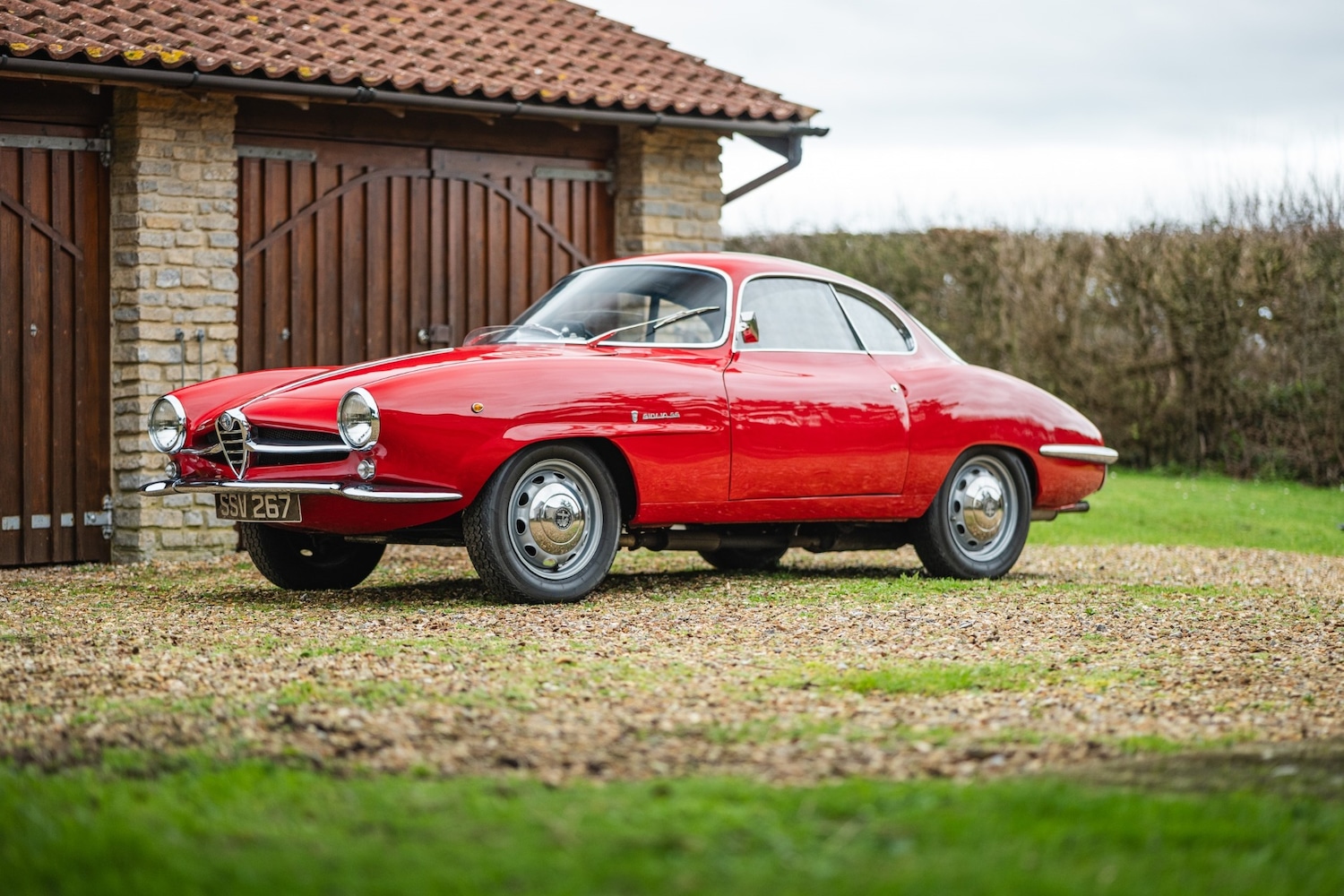 Used Alfa Romeo Giulia 1966 for sale - 77432249: Photo 54