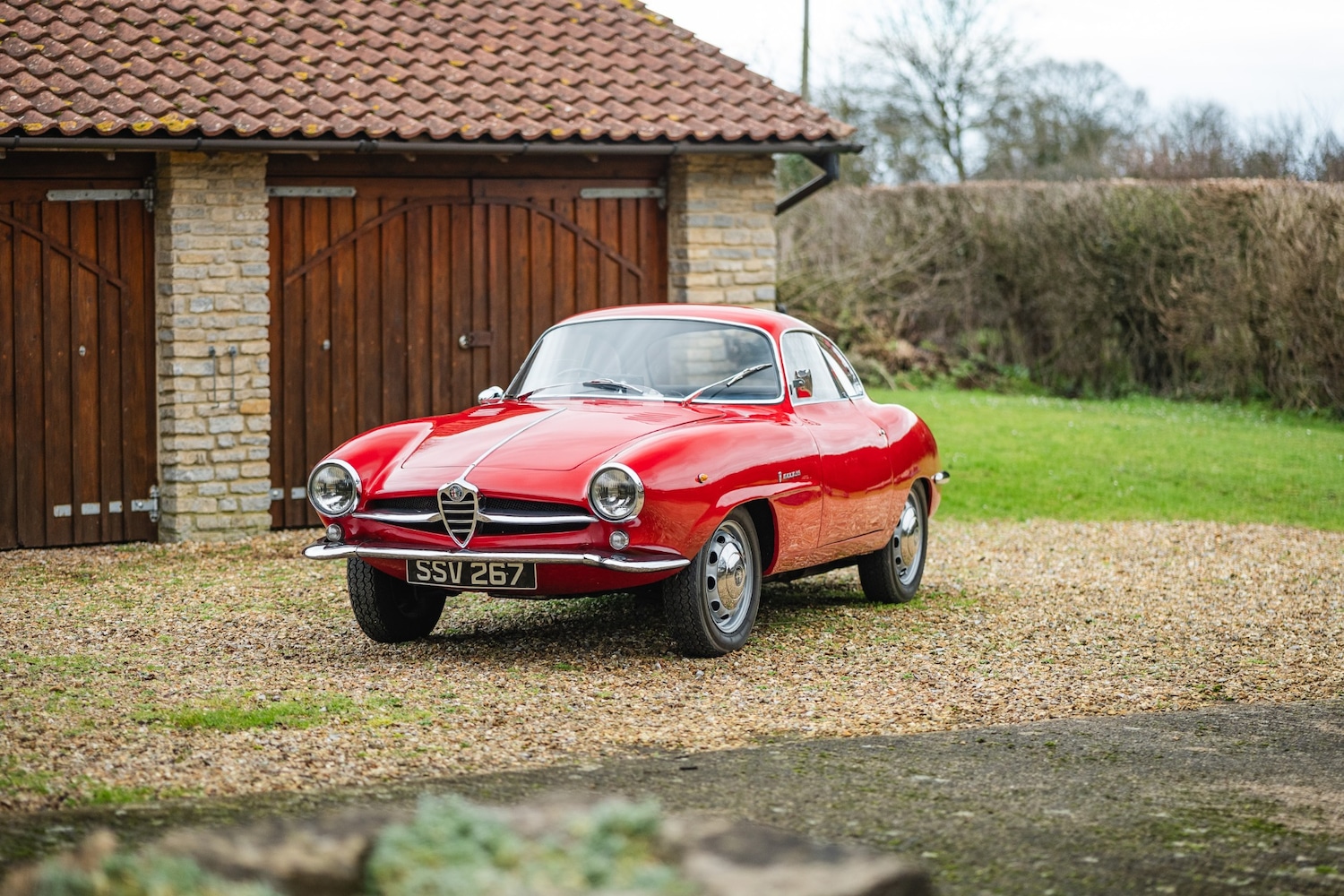 Used Alfa Romeo Giulia 1966 for sale - 77432249: Photo 55