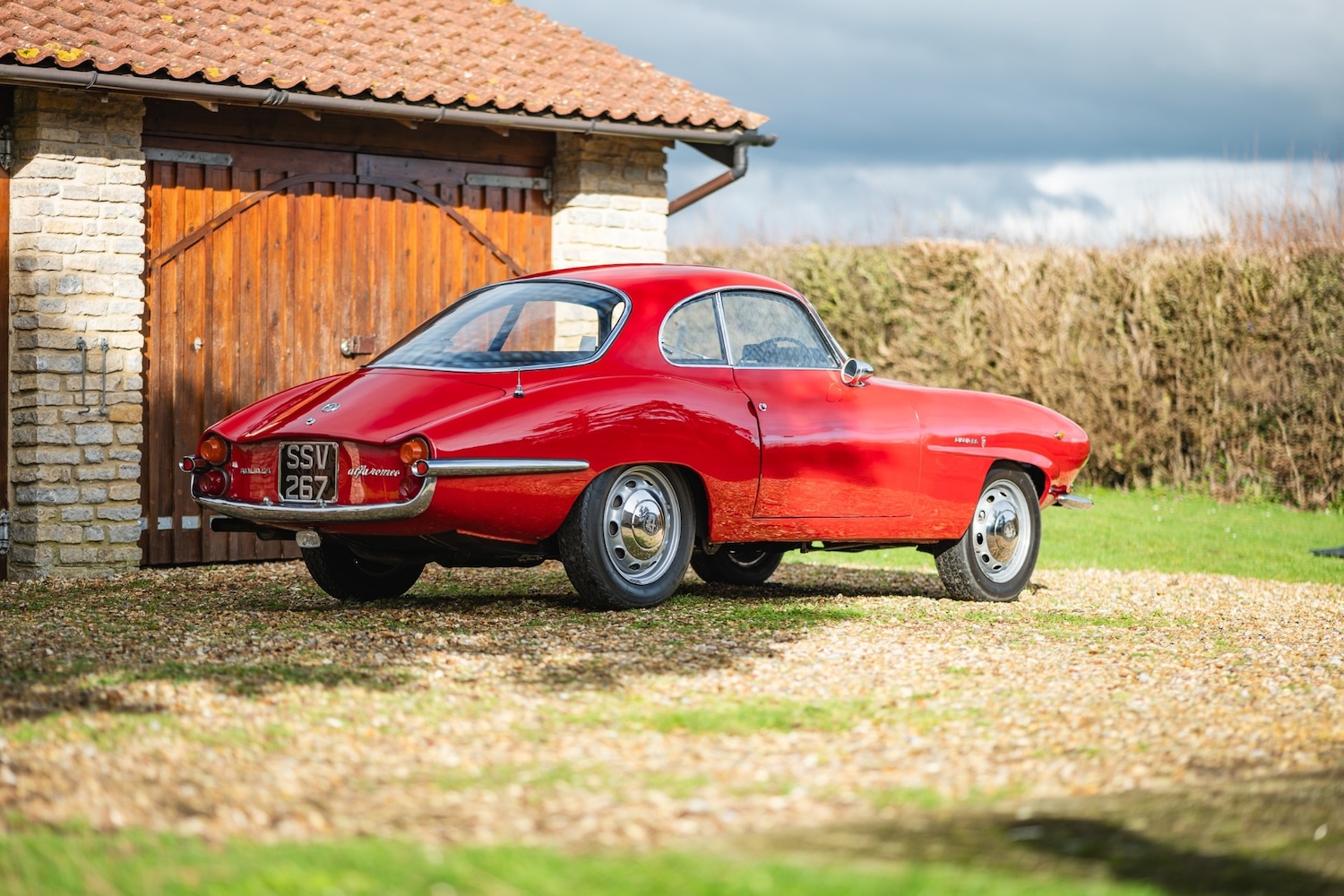 Used Alfa Romeo Giulia 1966 for sale - 77432249: Photo 57