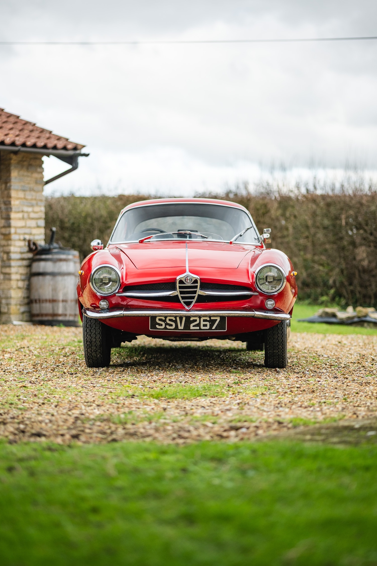 Used Alfa Romeo Giulia 1966 for sale - 77432249: Photo 58