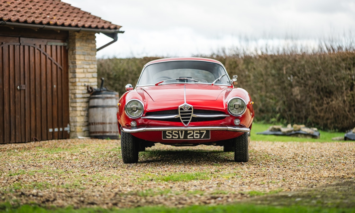Used Alfa Romeo Giulia 1966 for sale - 77432249: Photo 6