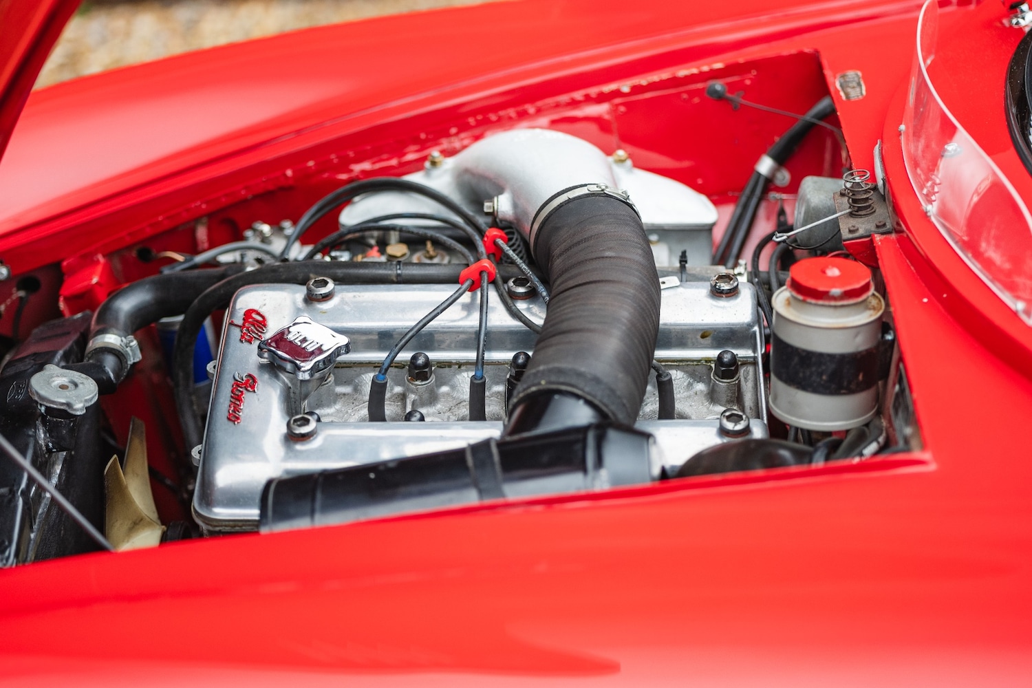 Used Alfa Romeo Giulia 1966 for sale - 77432249: Photo 64