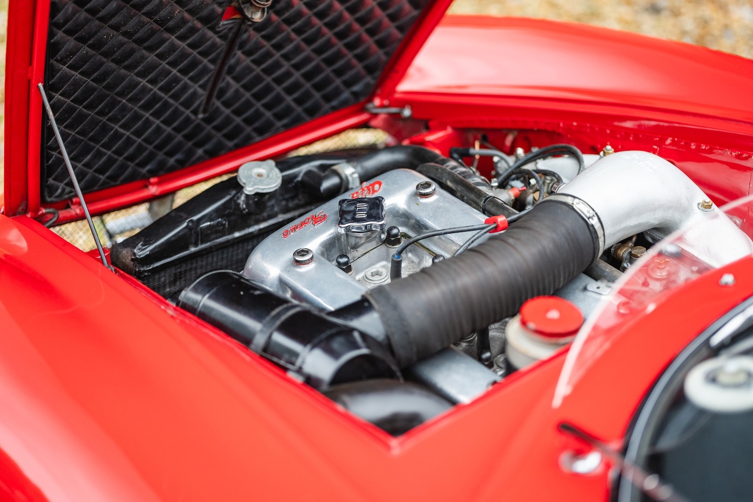 Used Alfa Romeo Giulia 1966 for sale - 77432249: Photo 65