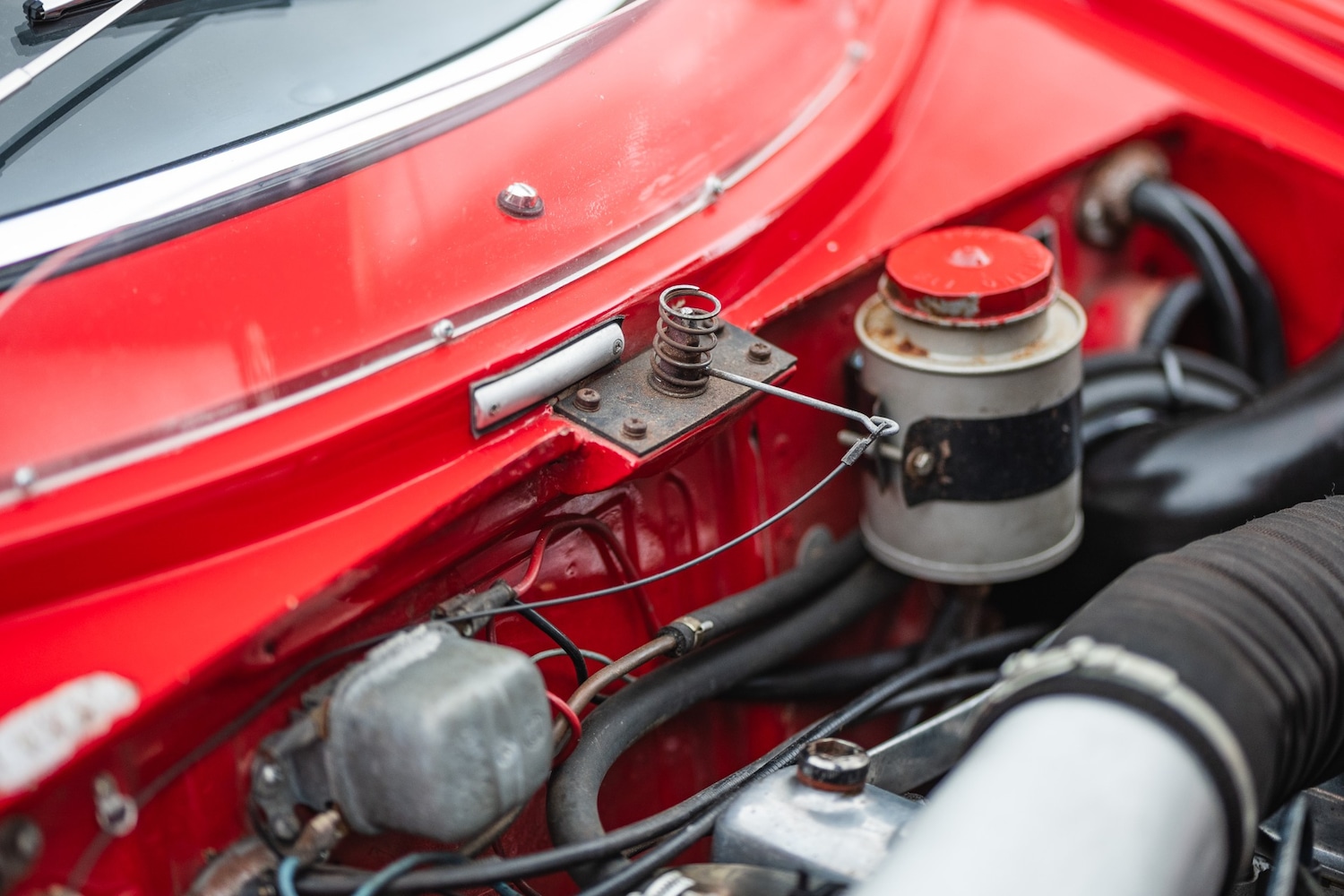 Used Alfa Romeo Giulia 1966 for sale - 77432249: Photo 72