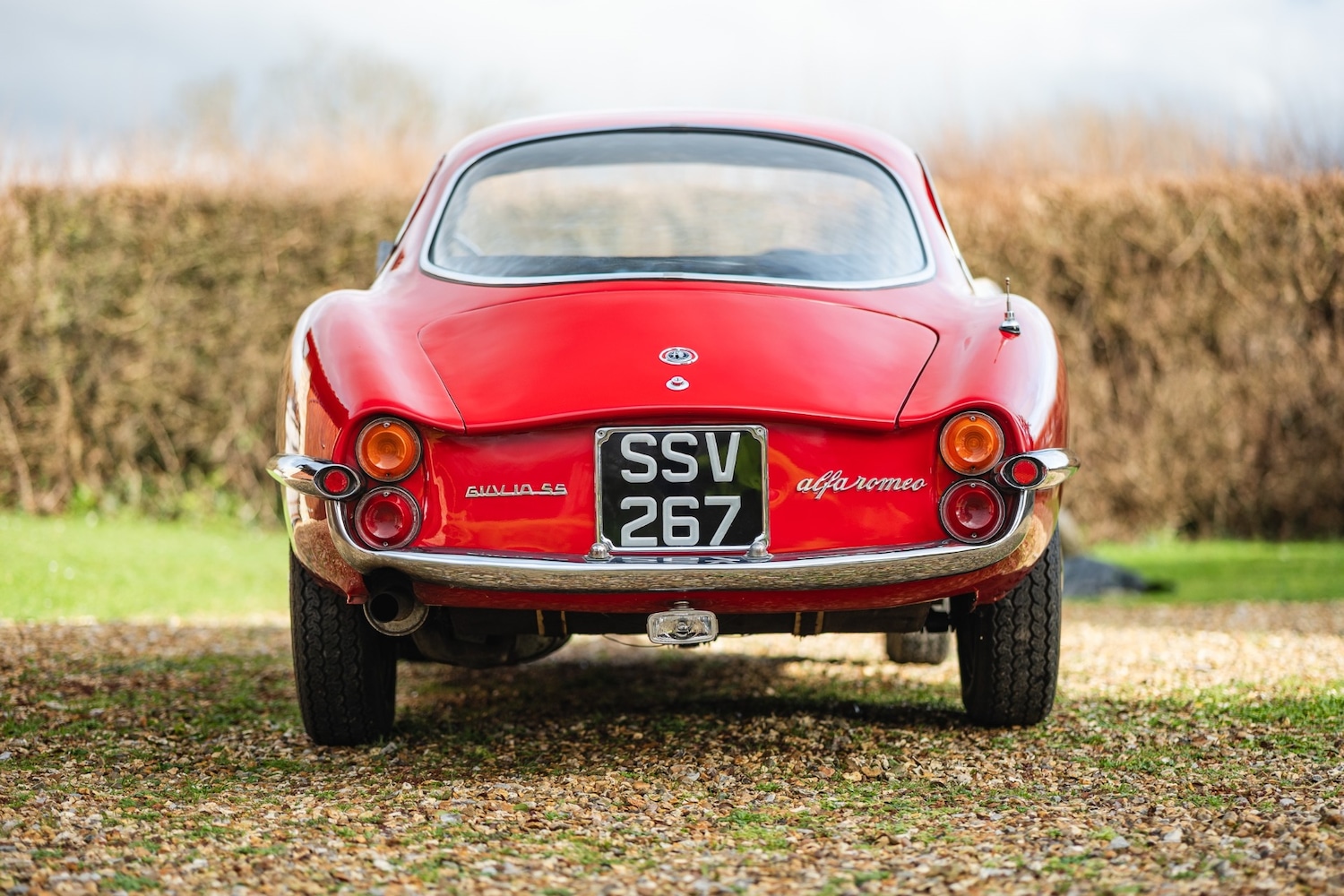 Used Alfa Romeo Giulia 1966 for sale - 77432249: Photo 8