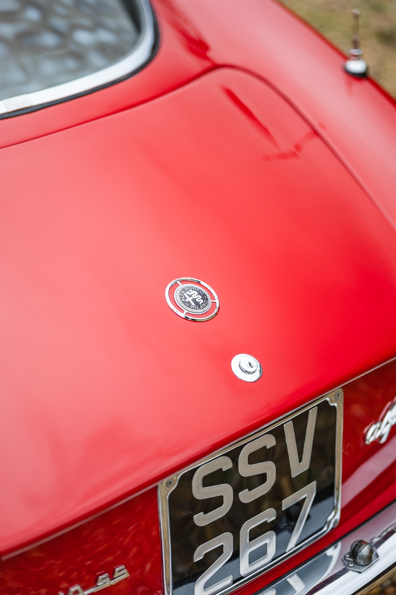 Used Alfa Romeo Giulia 1966 for sale - 77432249: Photo 84