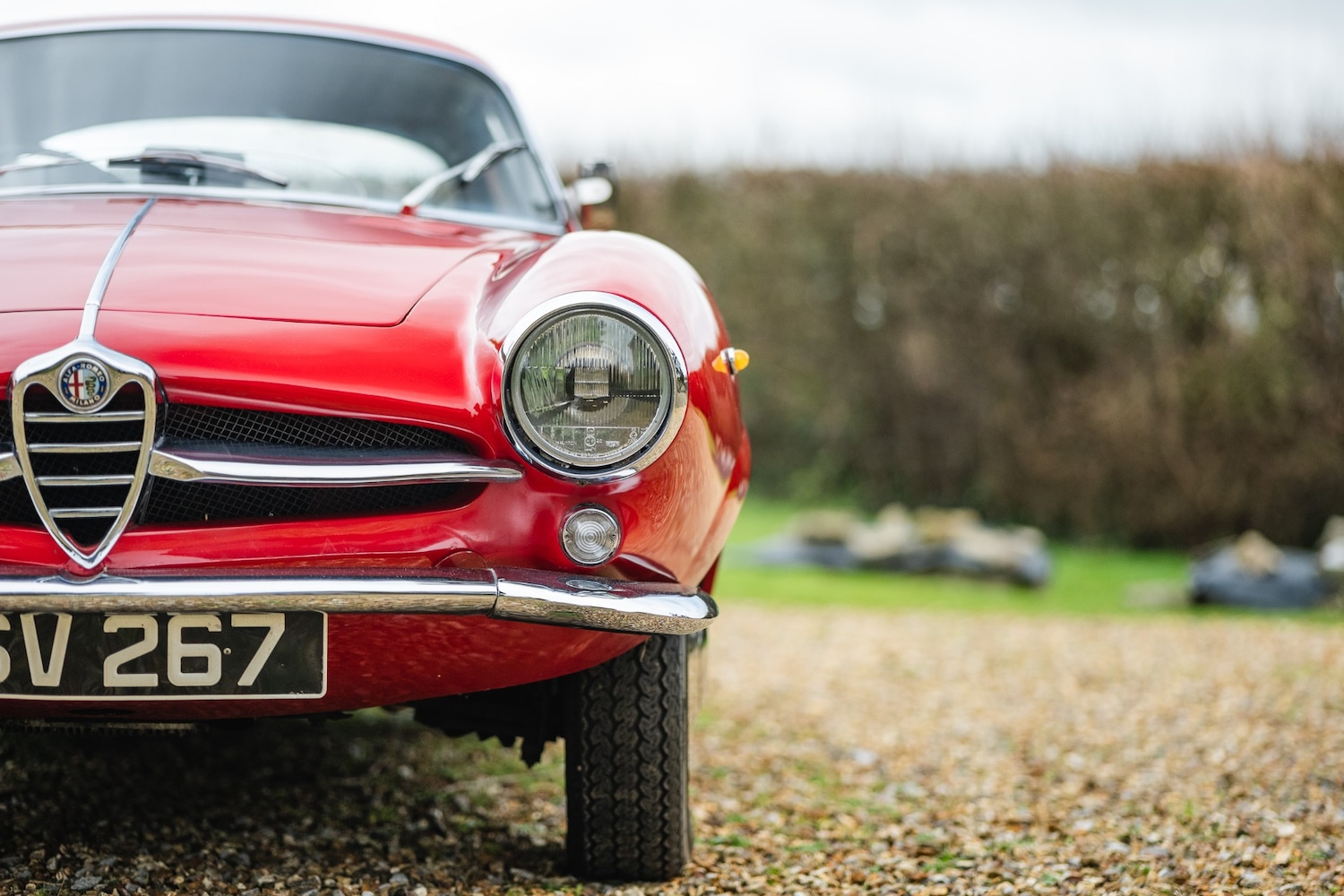 Used Alfa Romeo Giulia 1966 for sale - 77432249: Photo 85