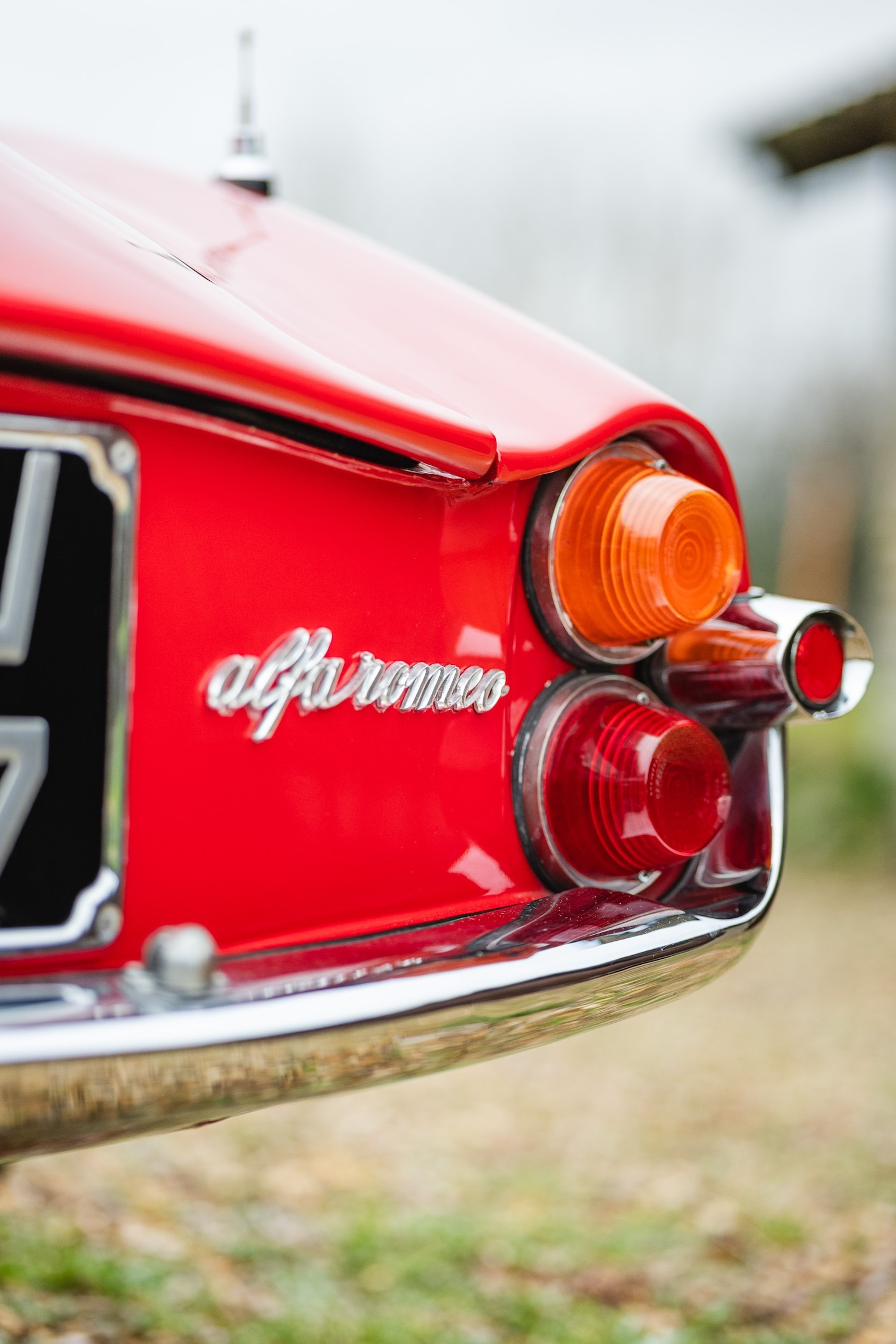 Used Alfa Romeo Giulia 1966 for sale - 77432249: Photo 88