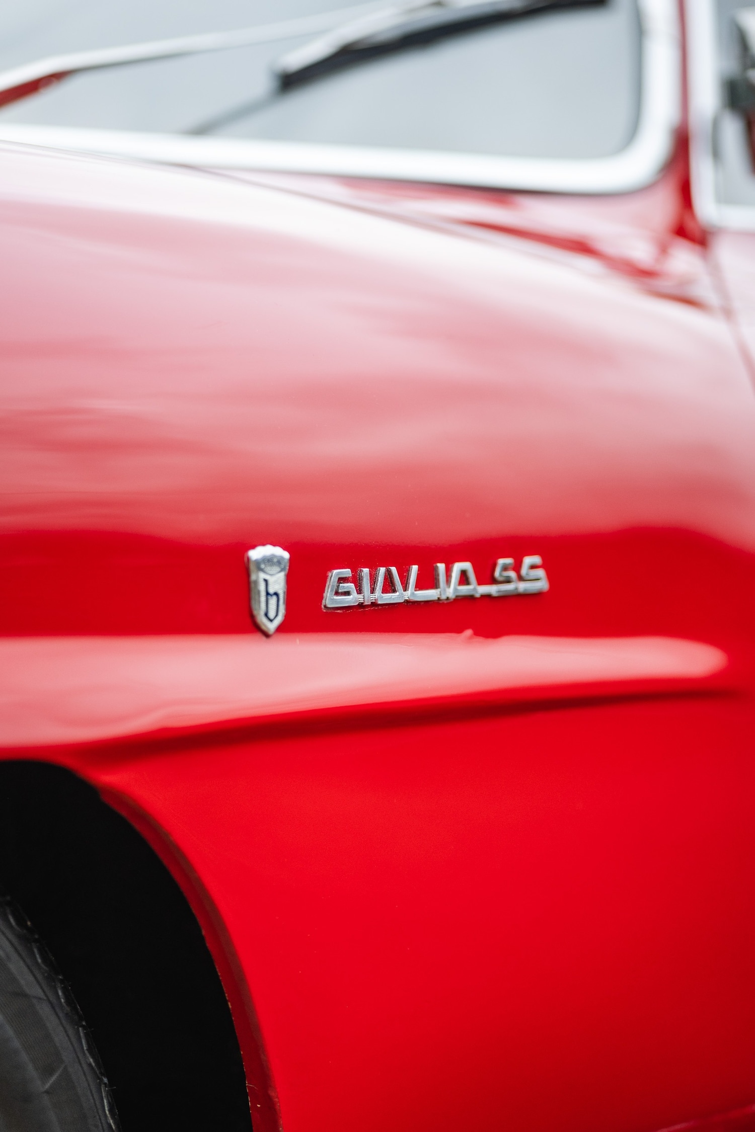 Used Alfa Romeo Giulia 1966 for sale - 77432249: Photo 89