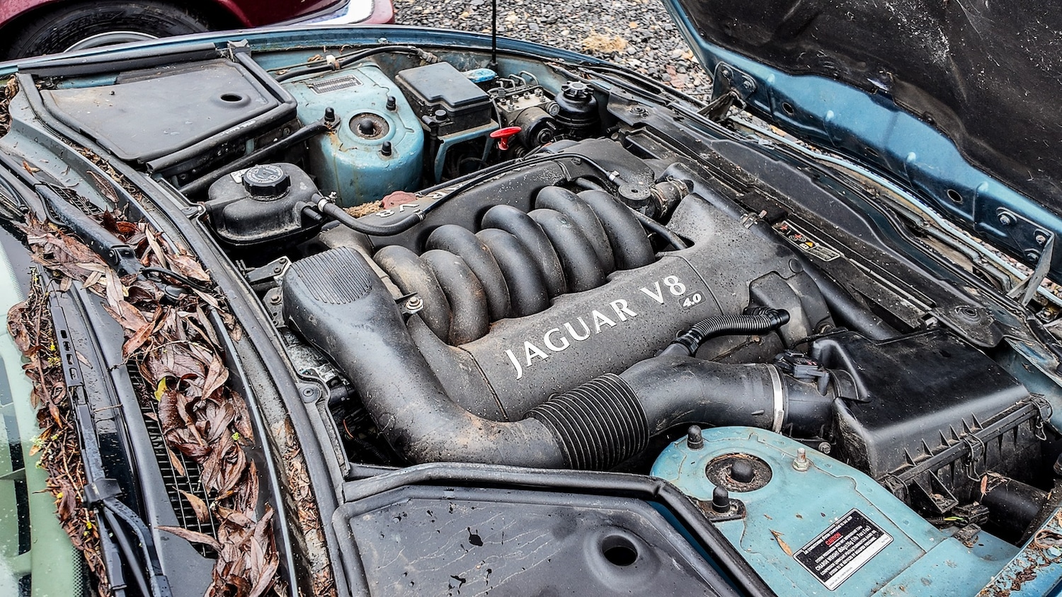 Used Jaguar XK8 2001 for sale - 77603475: Photo 21