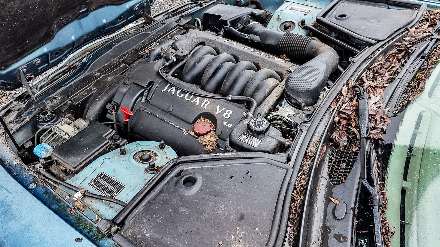 Used Jaguar XK8 2001 for sale - 77603475: Photo 3