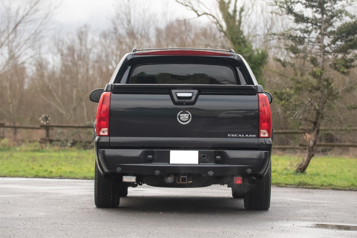 Used Cadillac Escalade 2019 for sale - 77581541: Photo 12