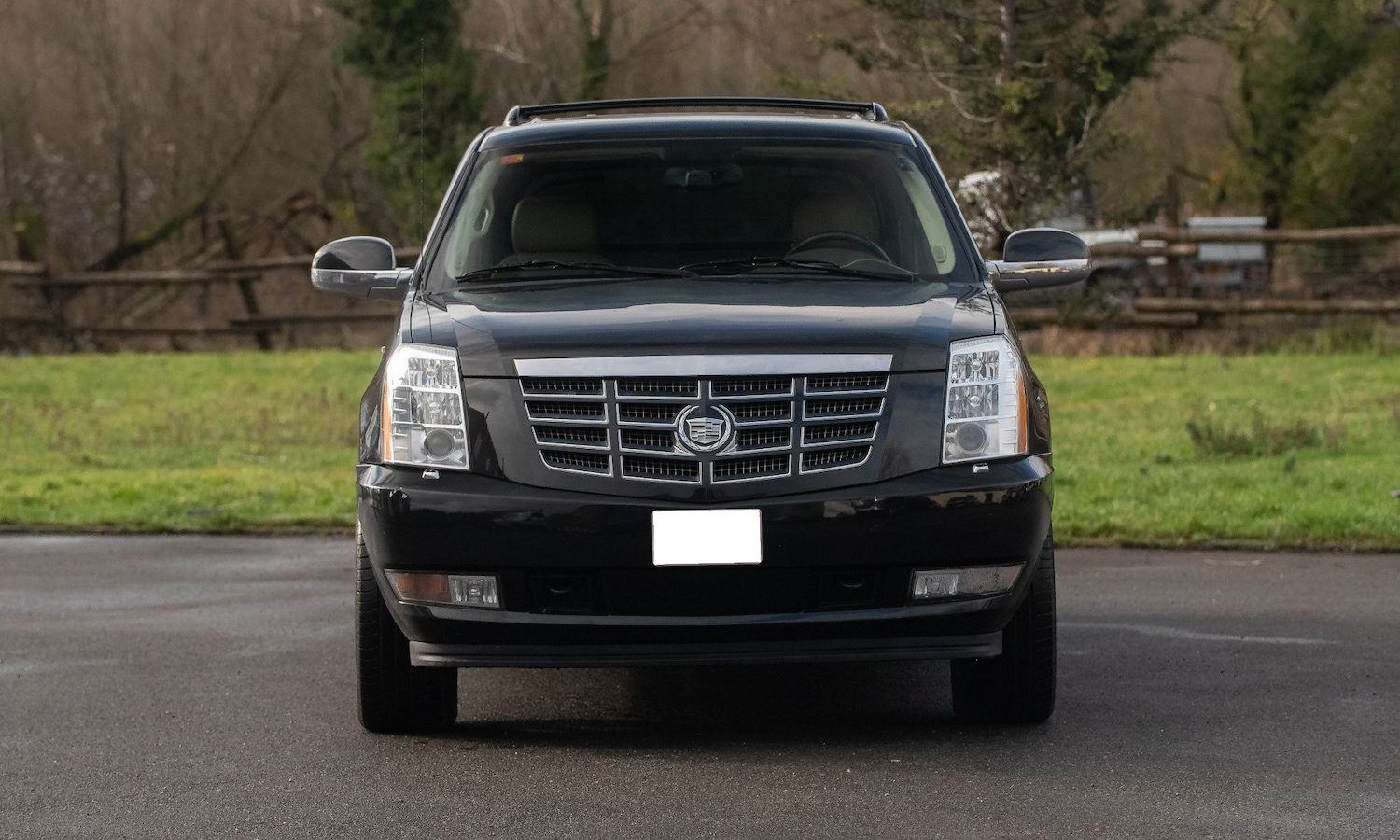 Used Cadillac Escalade 2019 for sale - 77581541: Photo 6