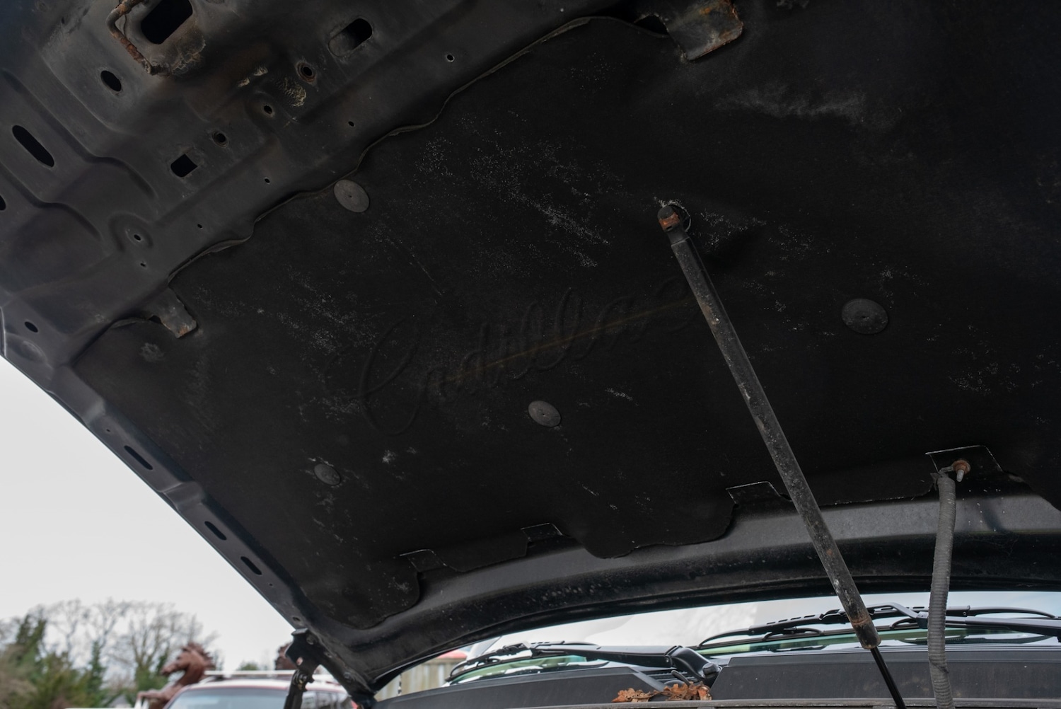 Used Cadillac Escalade 2019 for sale - 77581541: Photo 66