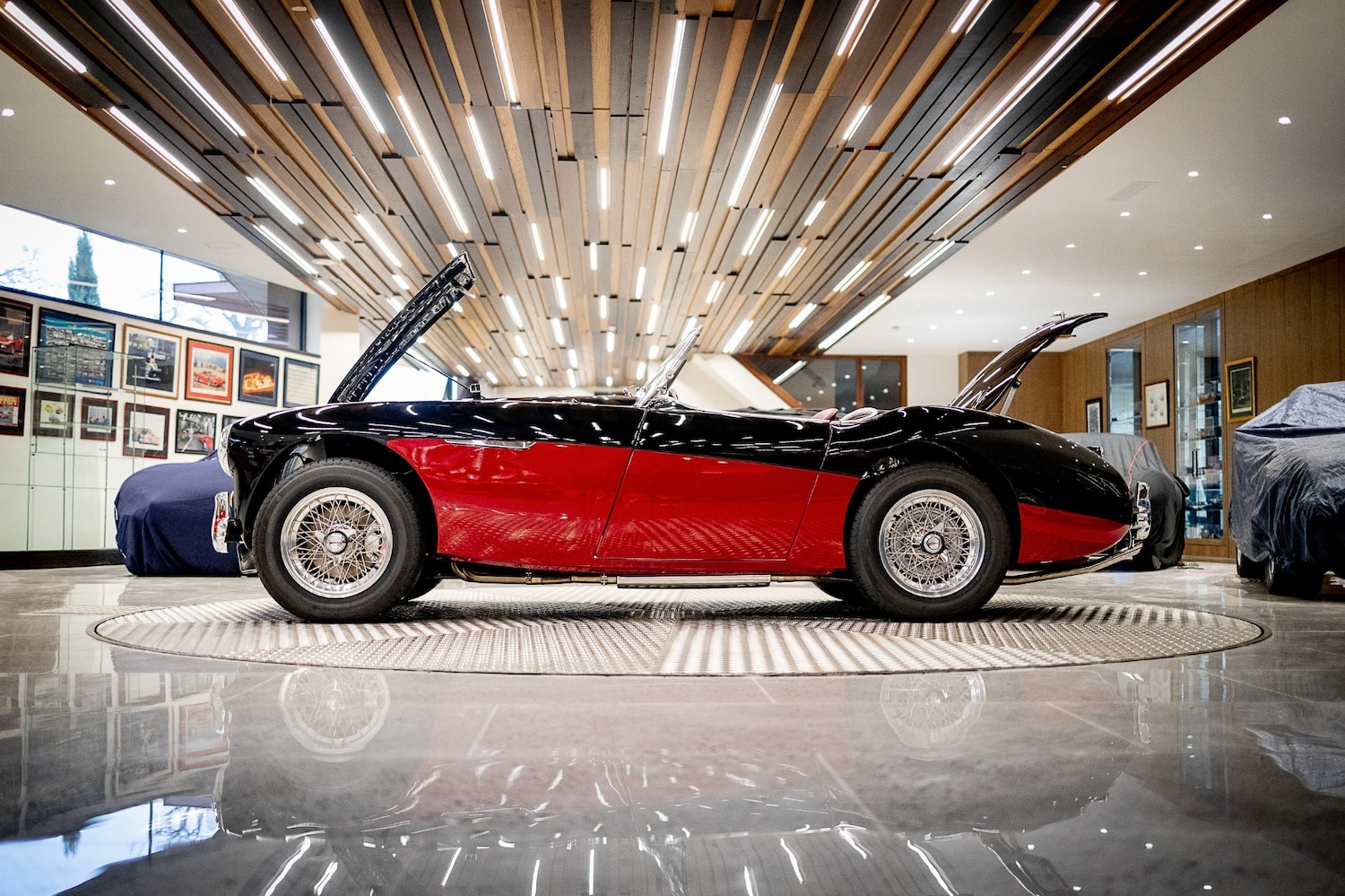 Used Austin 100 2023 for sale - 77579505: Photo 35