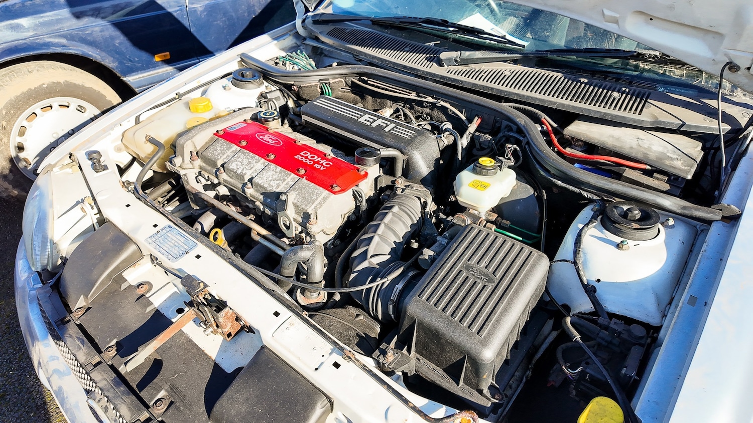 Used Ford Escort 1995 for sale - 77579730: Photo 13