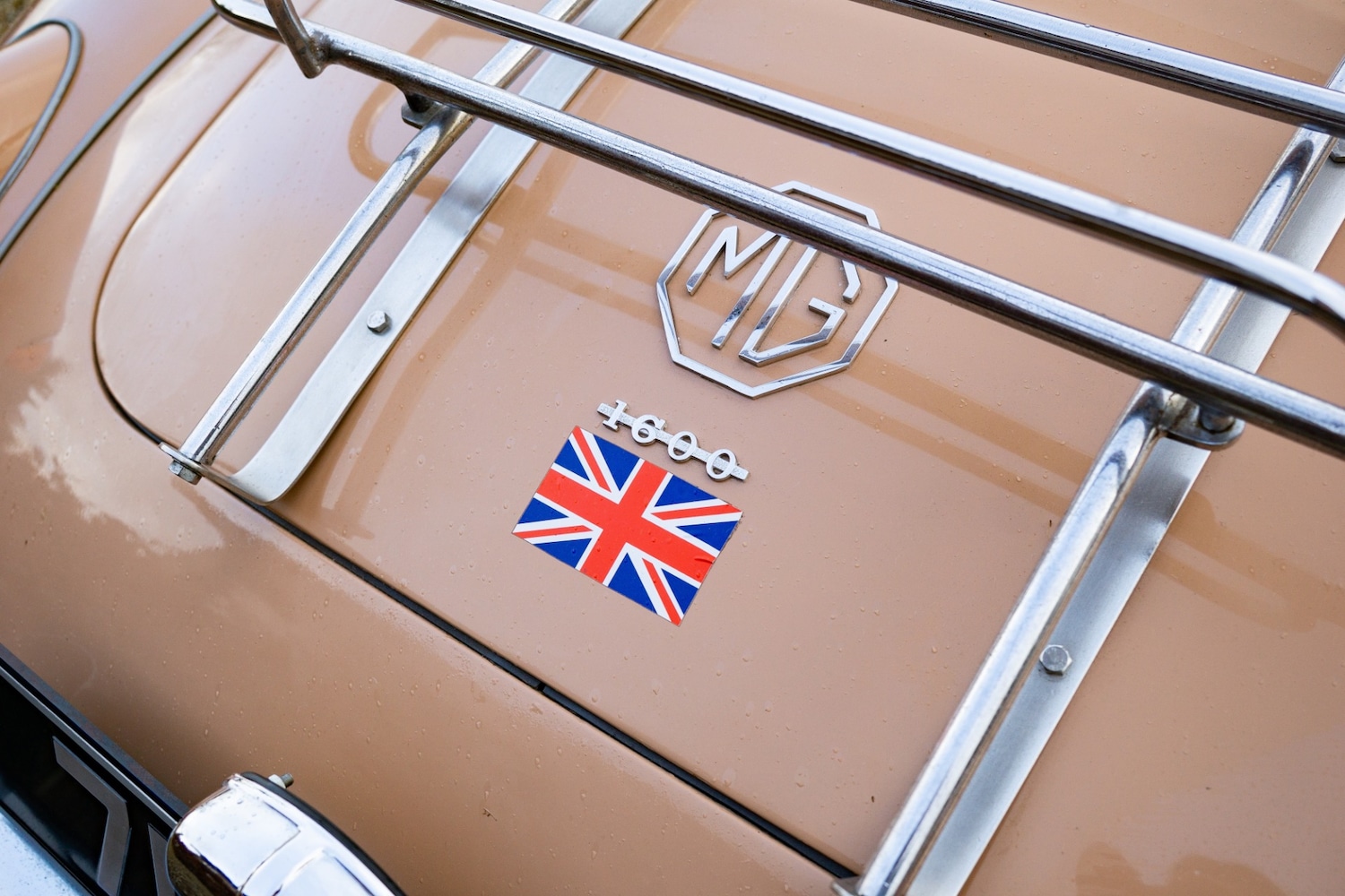 Used MG MGA 2006 for sale - 77431487: Photo 13