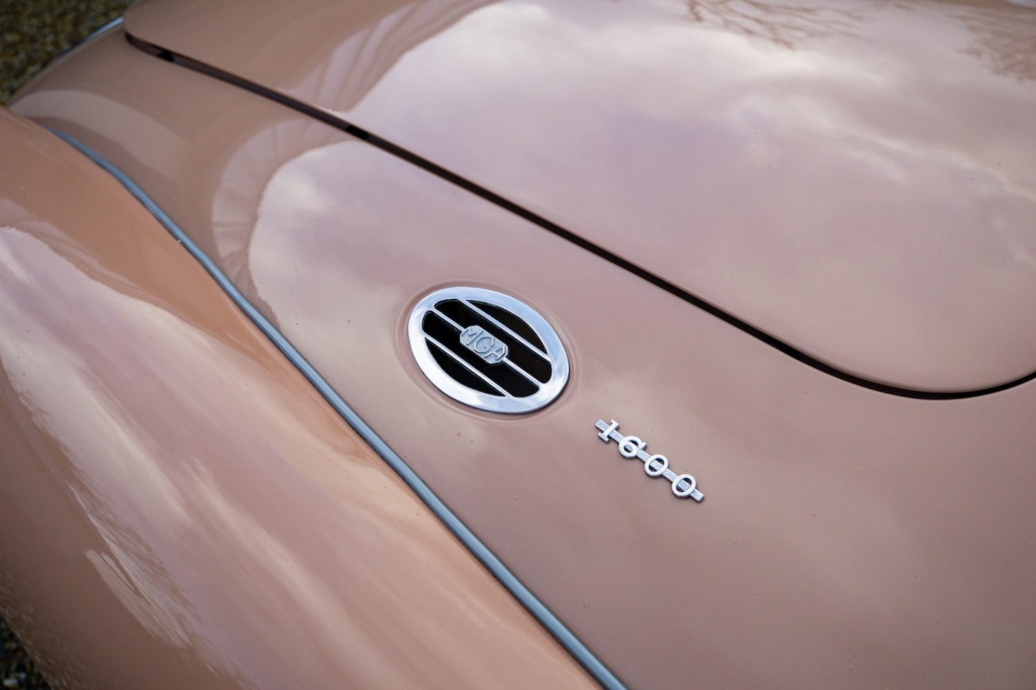 Used MG MGA 2006 for sale - 77431487: Photo 18