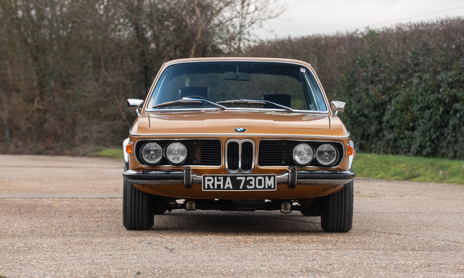 Used BMW 3.0 CSL 1974 for sale - 77500984: Photo 6