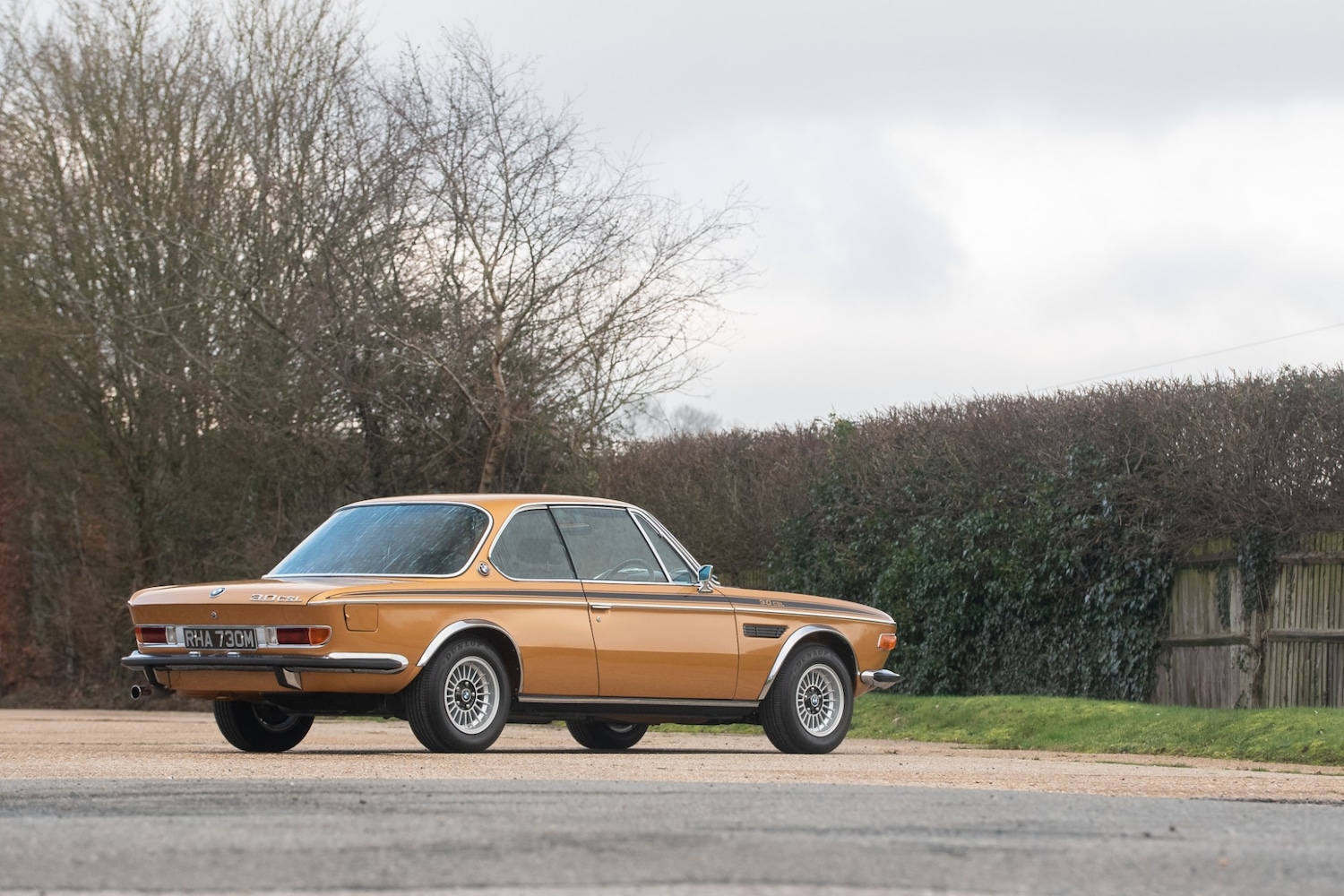 Used BMW 3.0 CSL 1974 for sale - 77500984: Photo 77