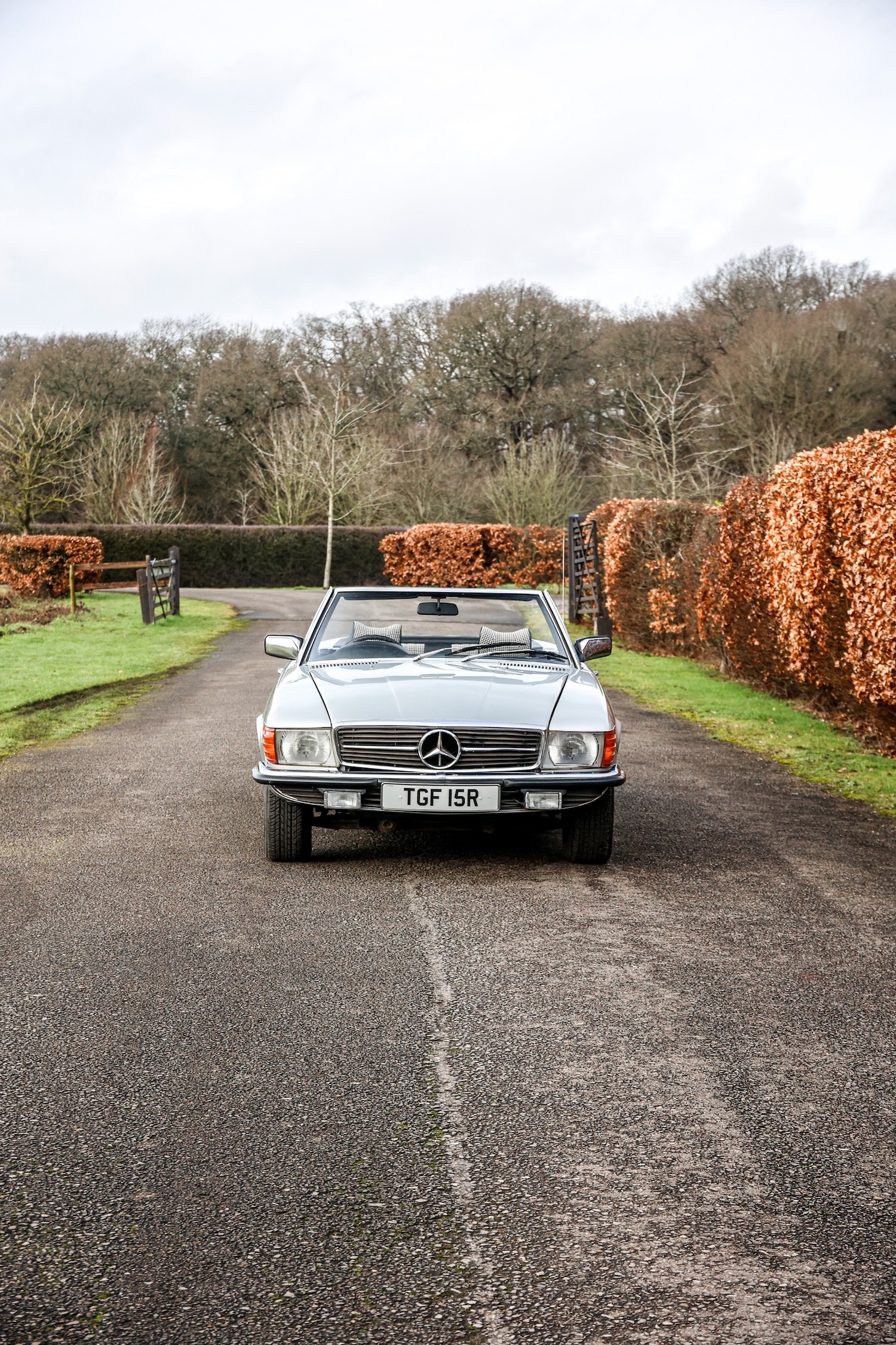 Used Mercedes-Benz 450 SL 1977 for sale - 77530374: Photo 11