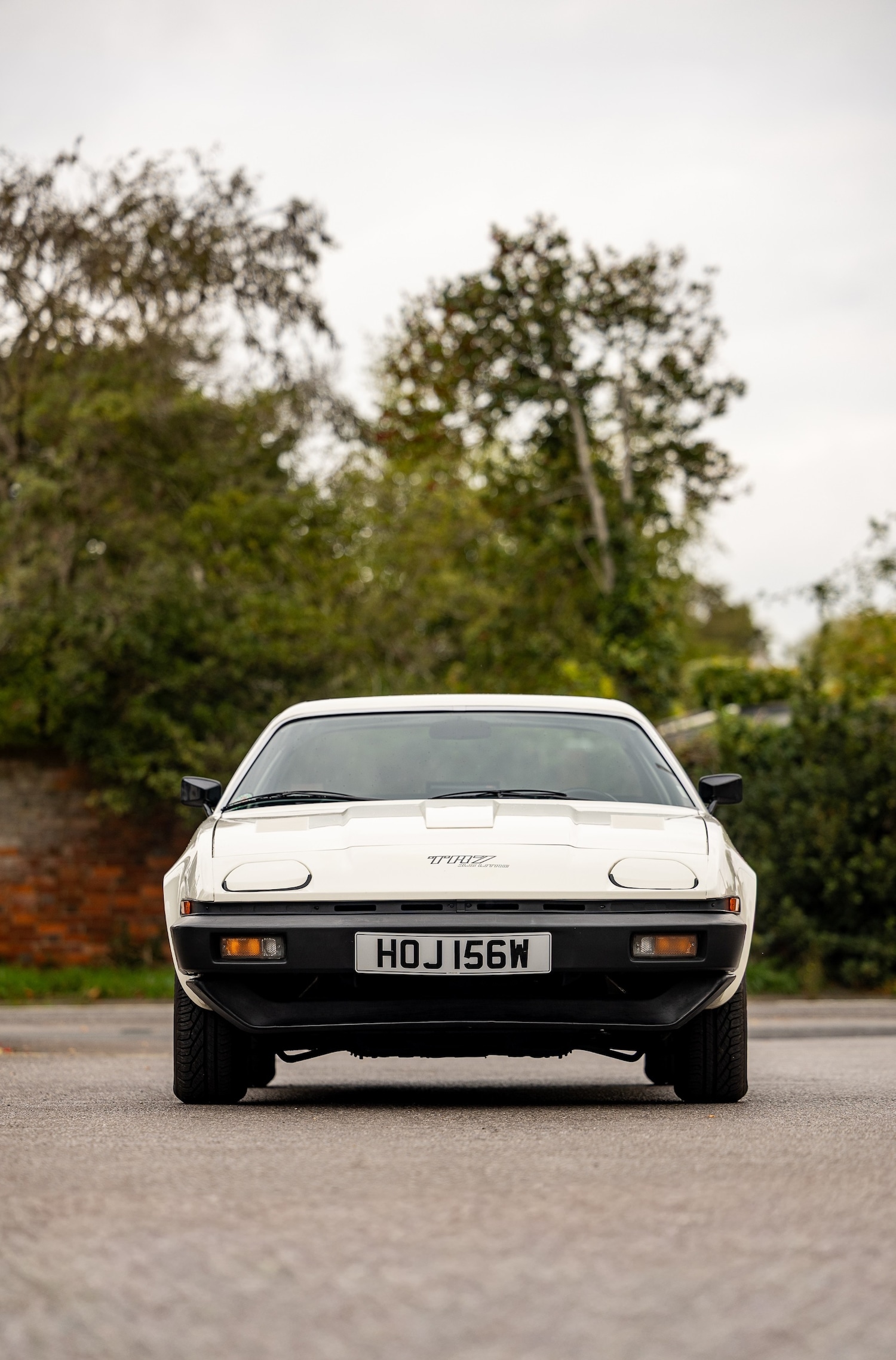 Used Triumph TR7 1981 for sale - 76382851: Photo 17