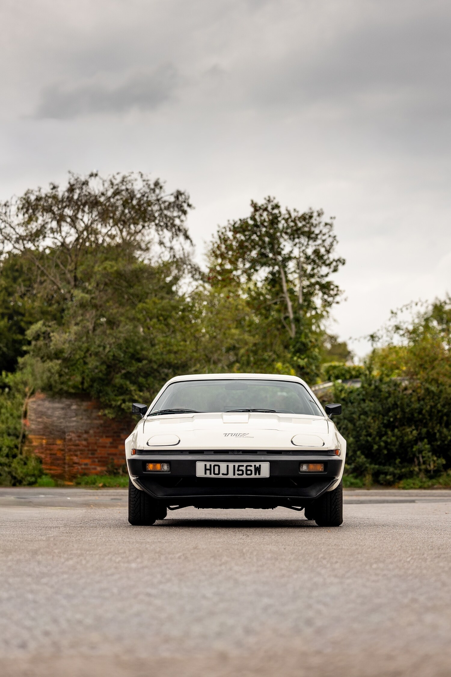 Used Triumph TR7 1981 for sale - 76382851: Photo 8