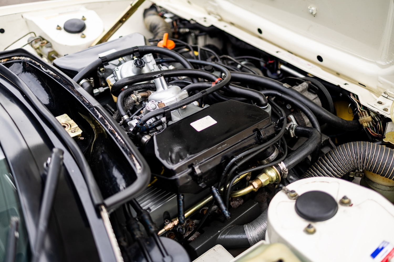 Used Triumph TR7 1981 for sale - 76382851: Photo 81