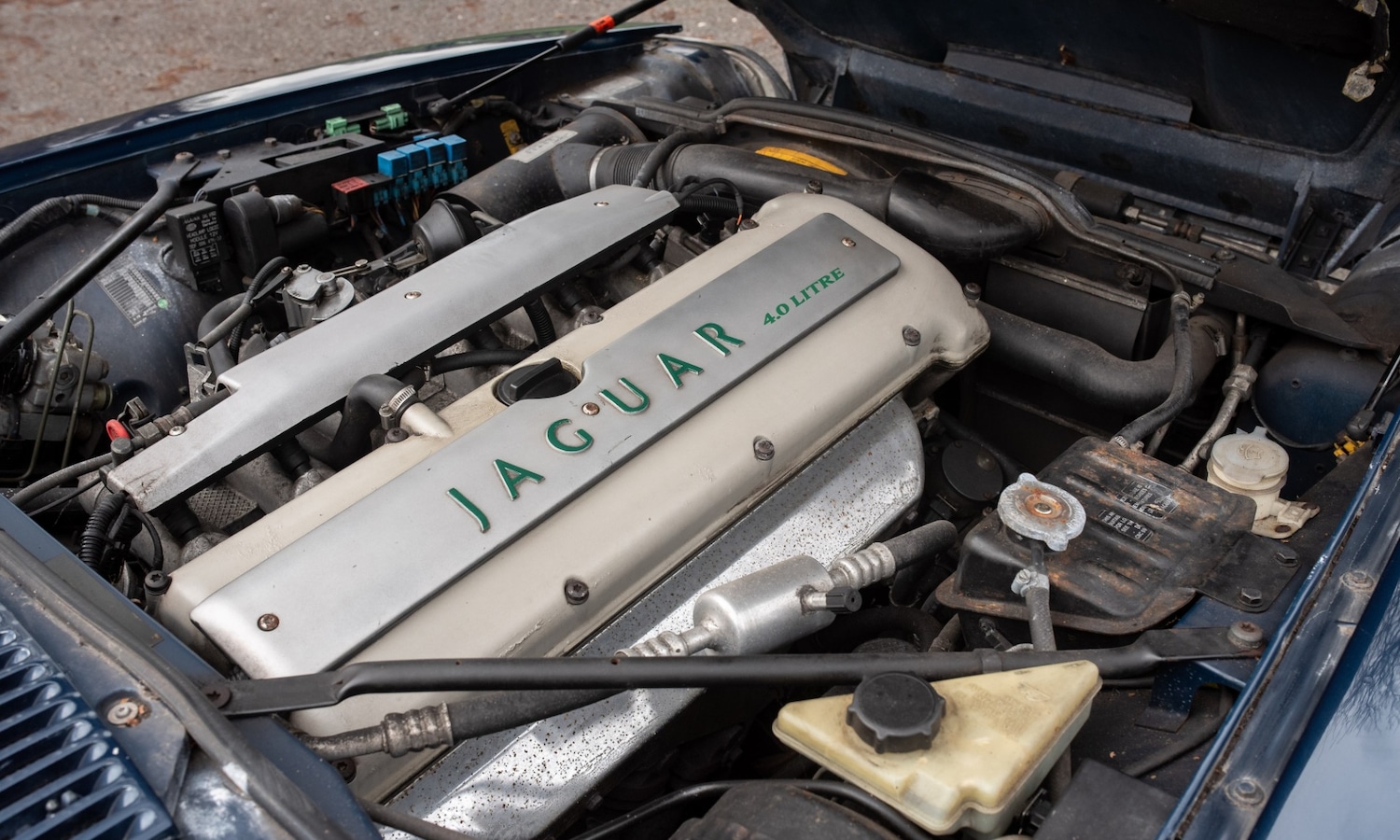 Used Jaguar XJS 1995 for sale - 77543377: Photo 5