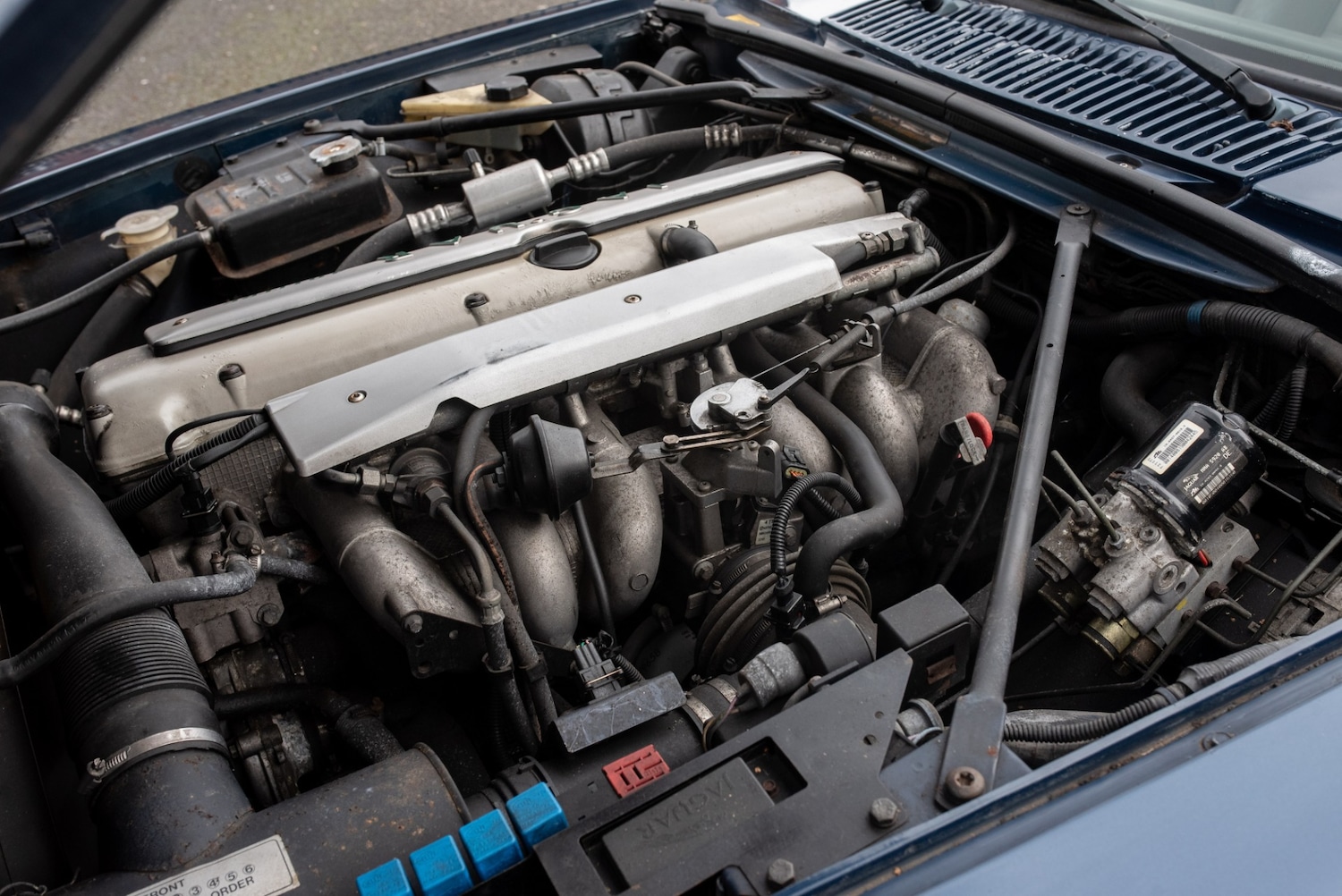 Used Jaguar XJS 1995 for sale - 77543377: Photo 60