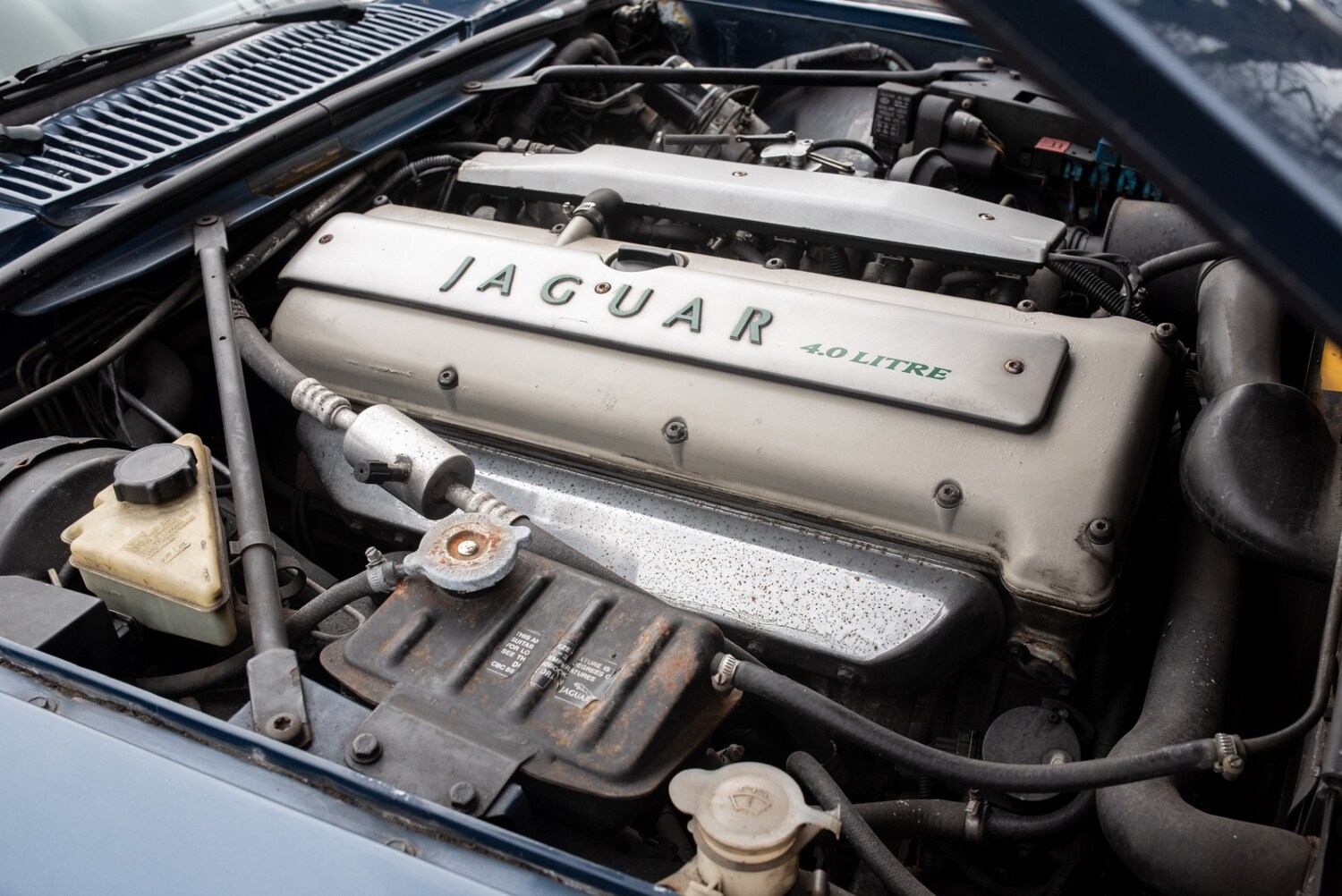Used Jaguar XJS 1995 for sale - 77543377: Photo 62