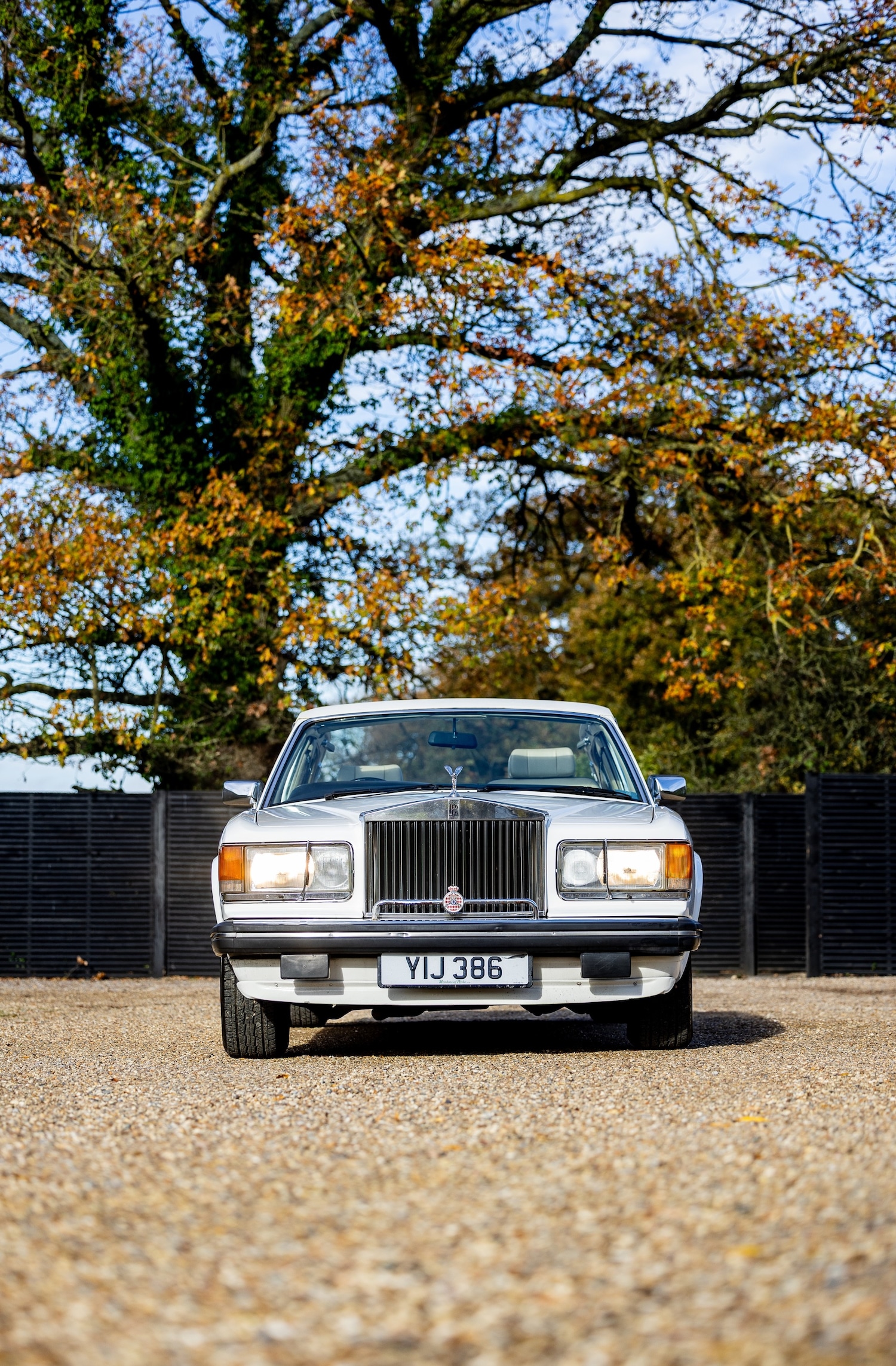 Used Rolls-Royce Silver Spirit 1983 for sale - 76488687: Photo 19