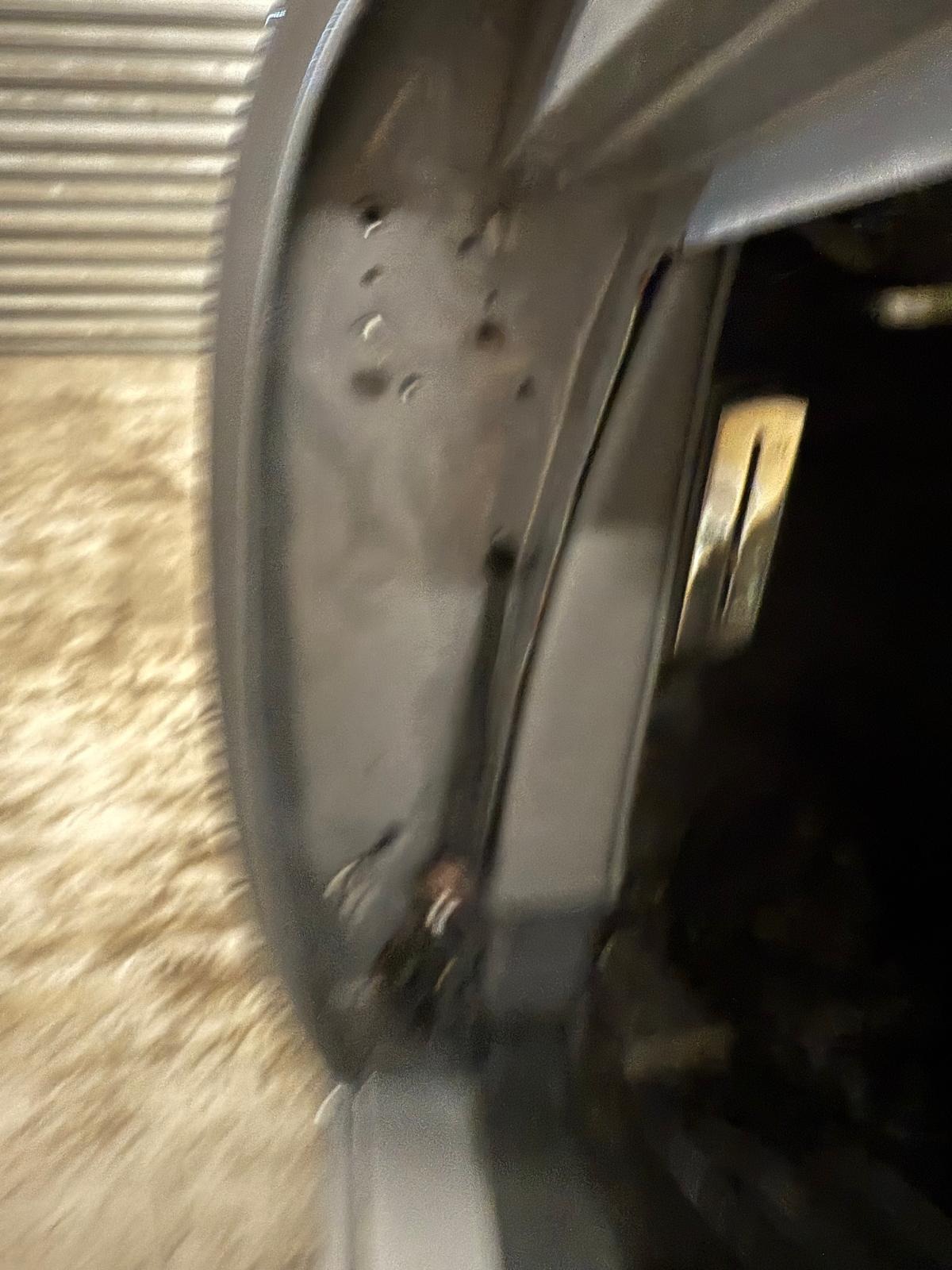 Used Amphicar Model 770 1962 for sale - 77431480: Photo 27