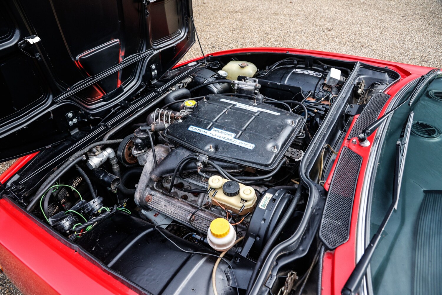 Used Alfa Romeo Other 2025 for sale - 77492761: Photo 22