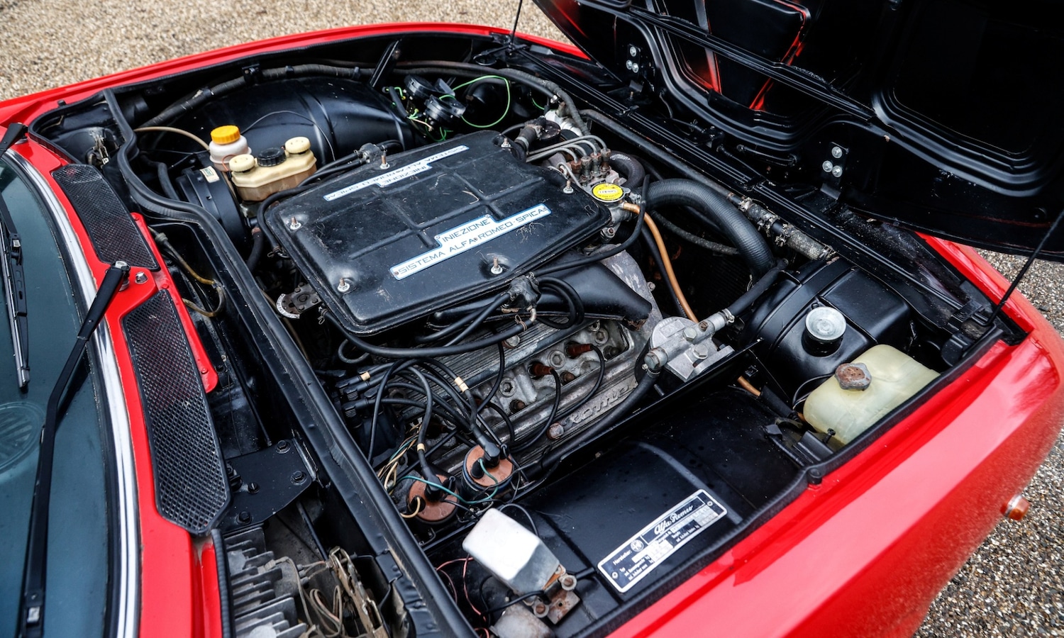 Used Alfa Romeo Other 2025 for sale - 77492761: Photo 5