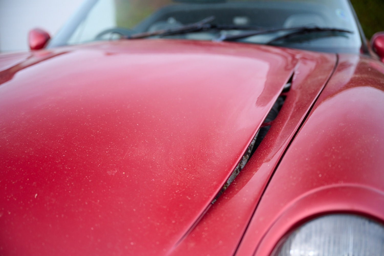 Used TVR Chimaera 1994 for sale - 76422142: Photo 40