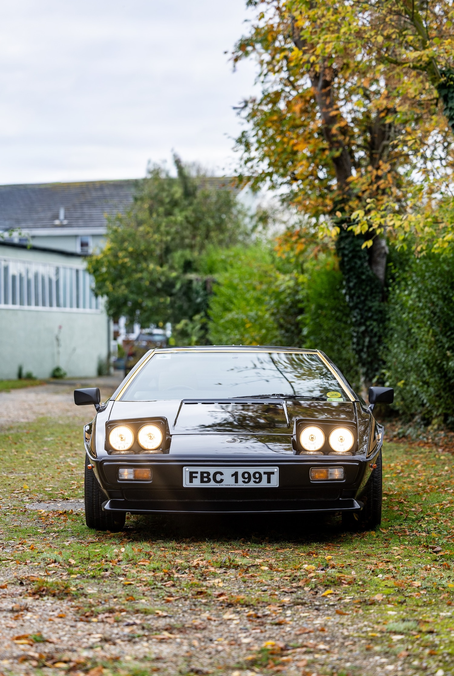 Used Lotus Esprit 1979 for sale - 77529250: Photo 10