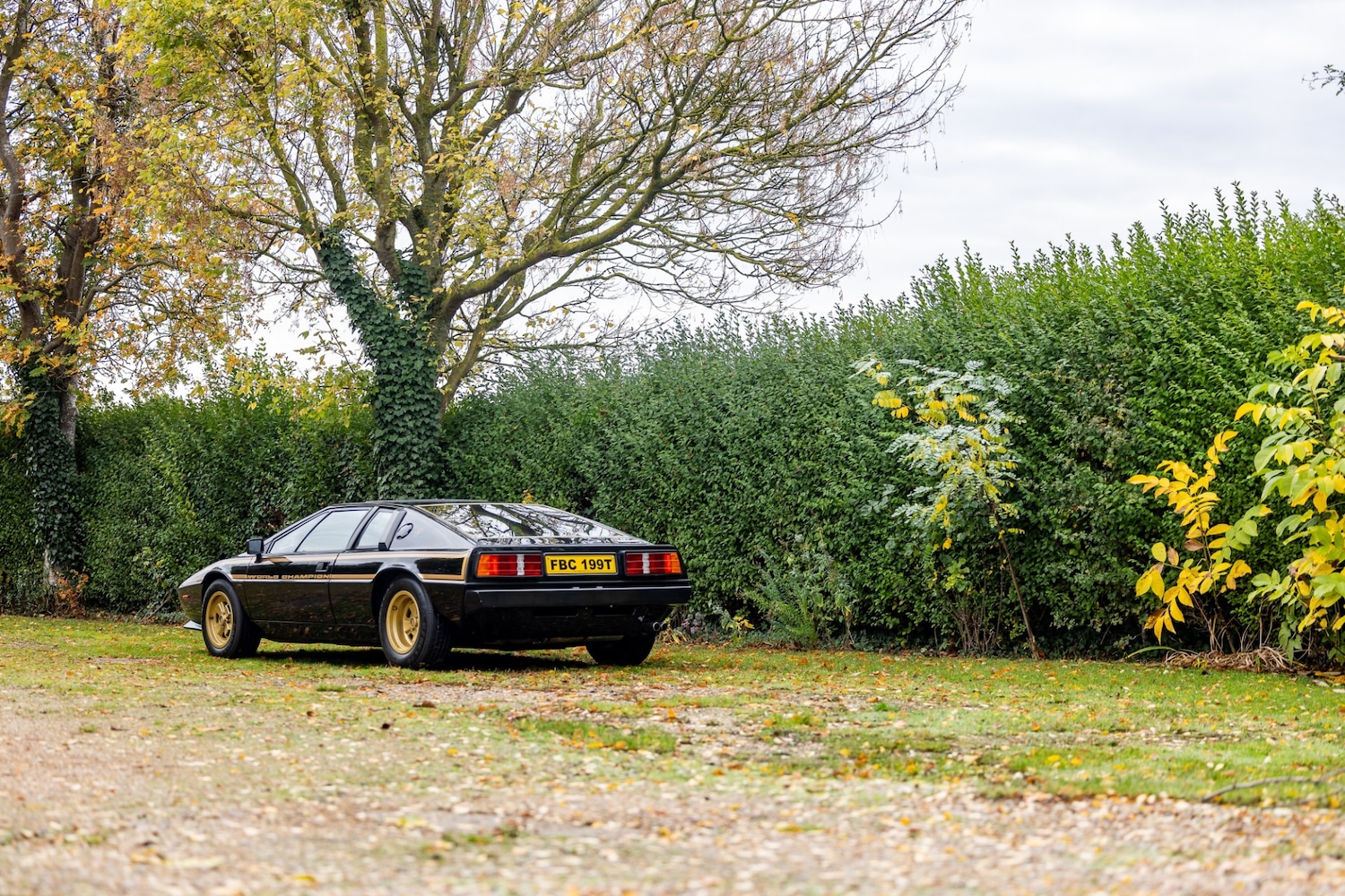 Used Lotus Esprit 1979 for sale - 77529250: Photo 11